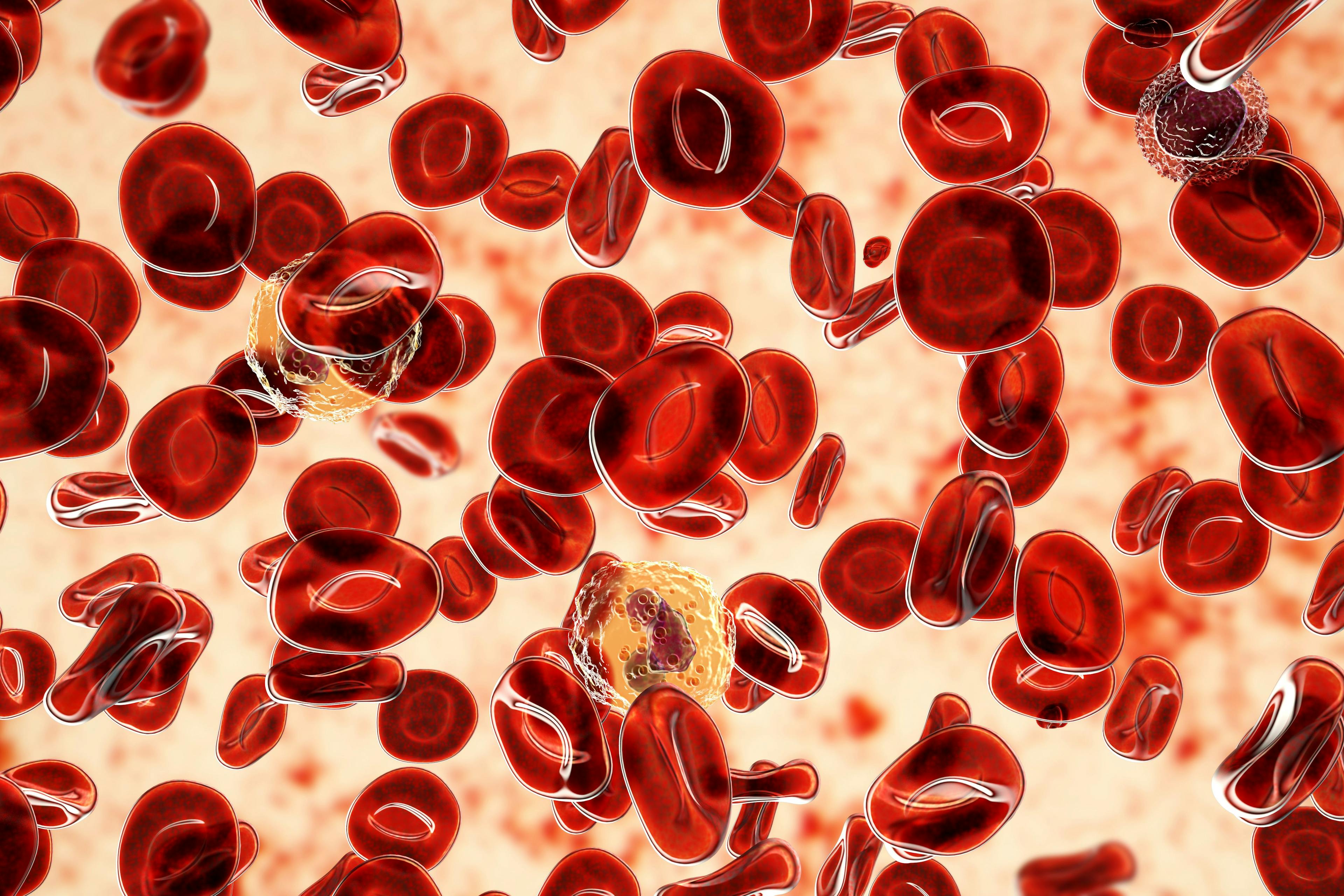 Polycythemia vera red blood cells | Image credit: Dr_Microbe - stock.adobe.com