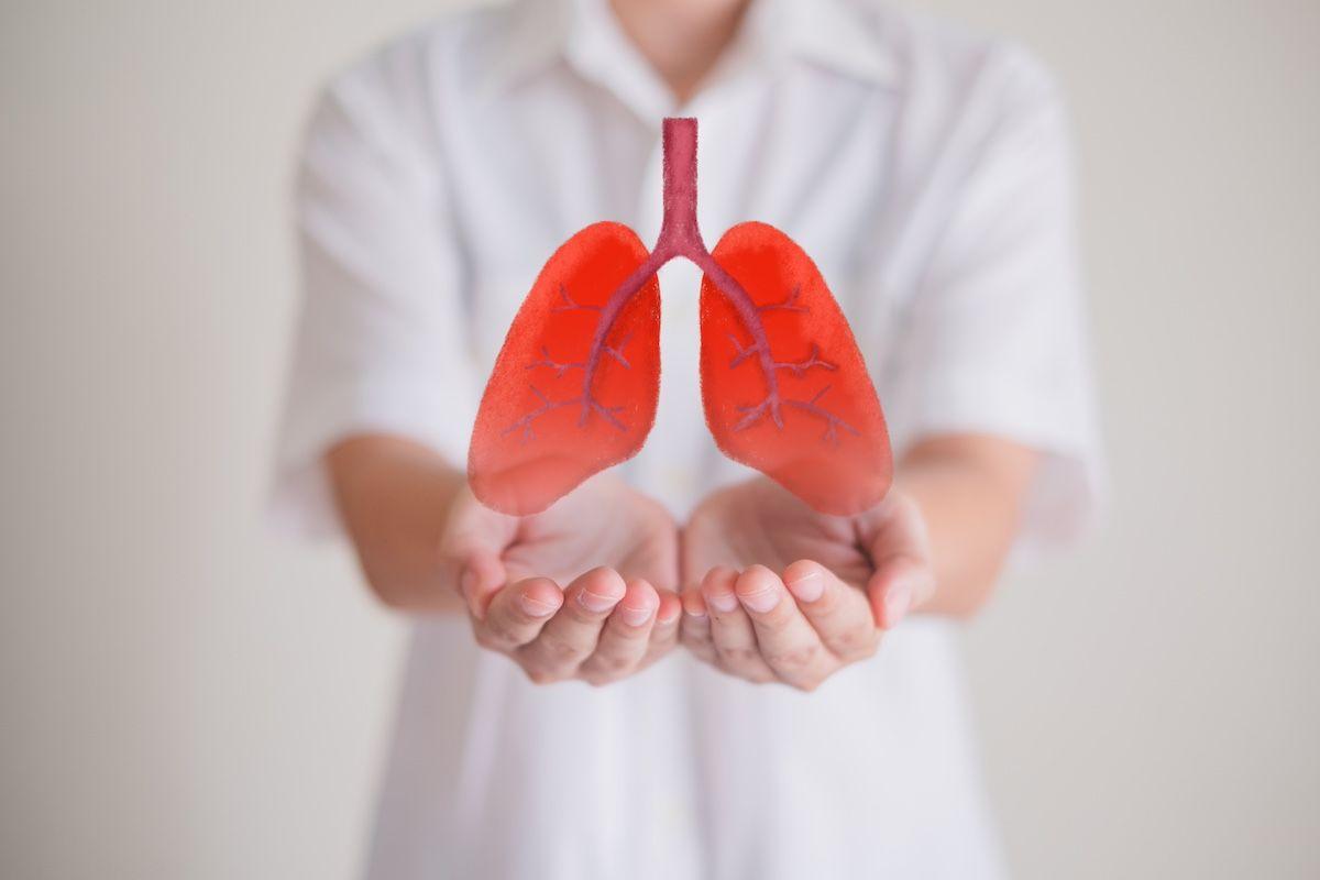 Hands holding lungs | Image Credit: Irin-stock.adobe.com