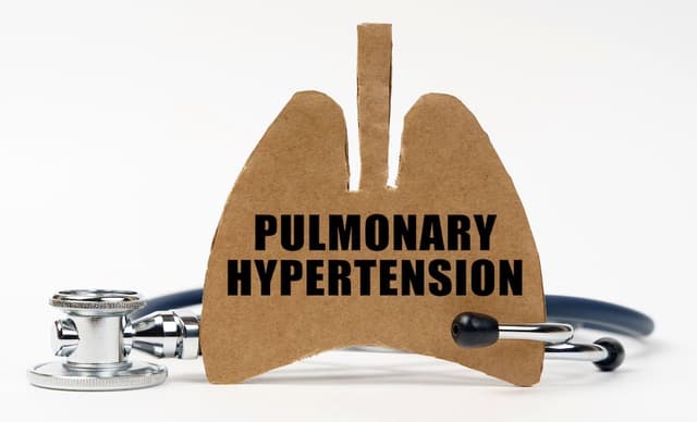 Carboard cutout of lungs with a stethoscope and the words Pulmonary Hypertension | Image credit: Dzmitry - stock.adobe.com