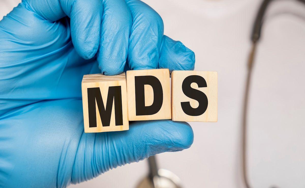 MDS wooden blocks | Image Credit: Sviatlana-stock.adobe.com