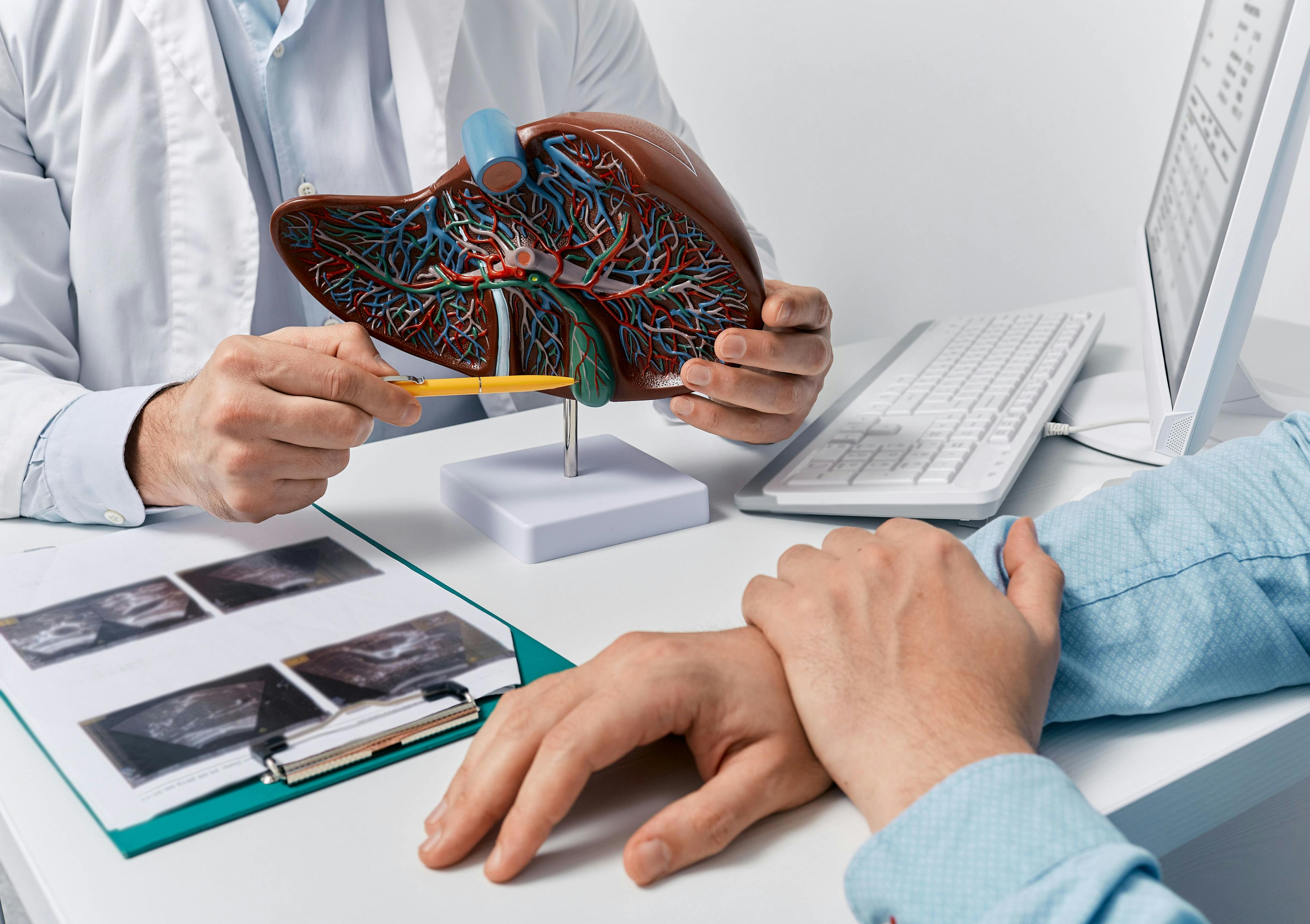 Liver cancer. | Image Credit: Peakstock - stock.adobe.com