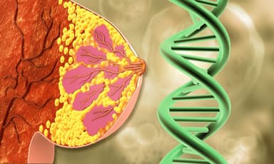 Breastcancergeneticrisk | Image Credit: © Rasi-stock.adobe.com