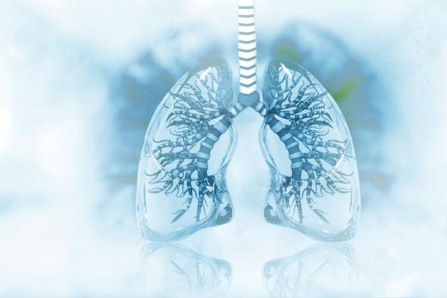 Human lungs on scientific background | Image Credit: © Crystal light - stock.adobe.com