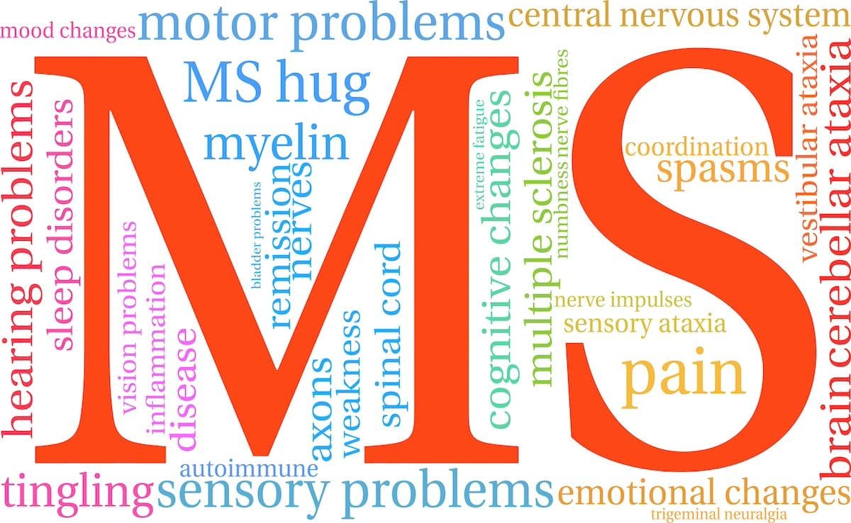 MS word cloud | Image Credit: © arloo-stock.adobe.com