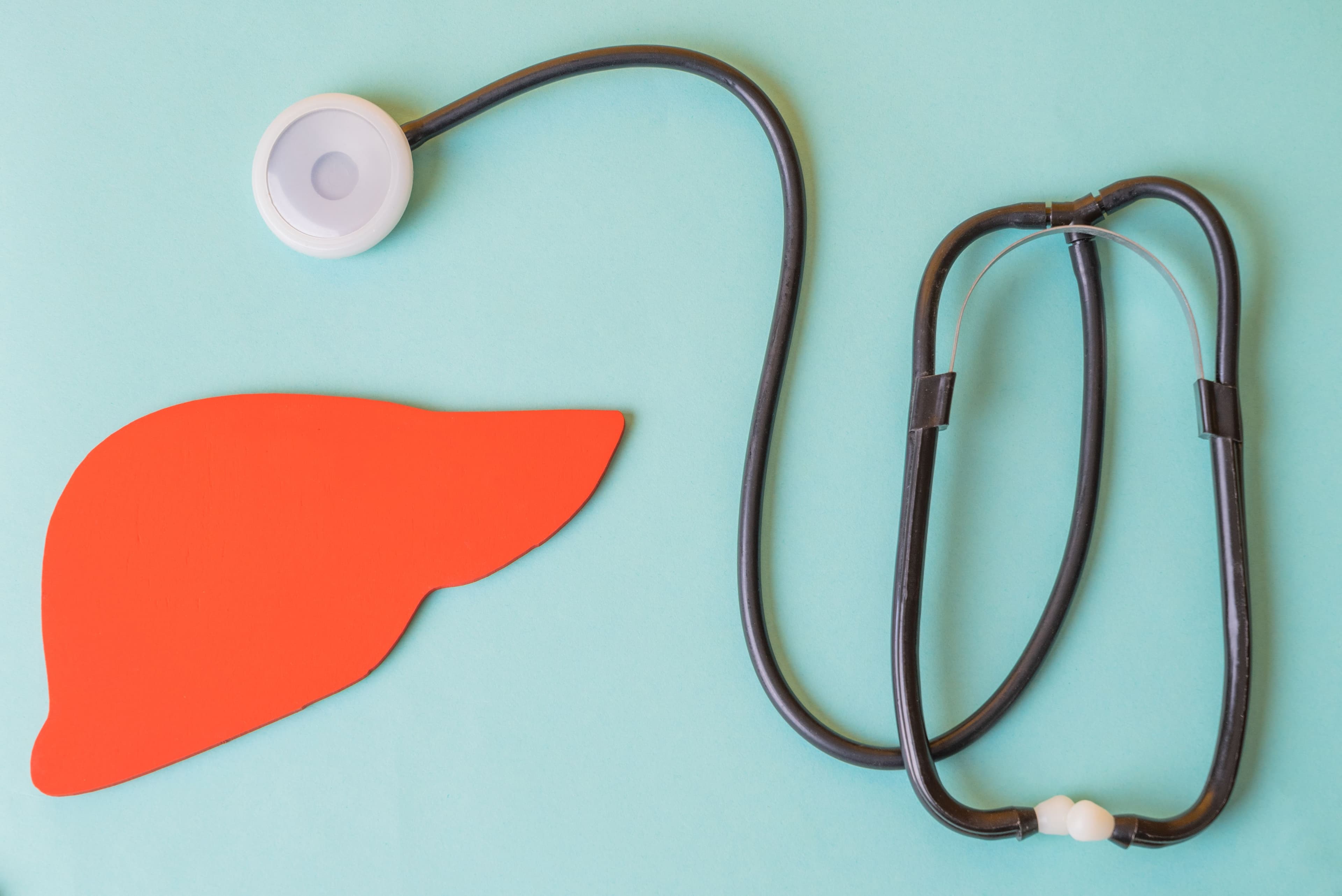 Liver and stethoscope | Image credit: filins – stock.adobe.com