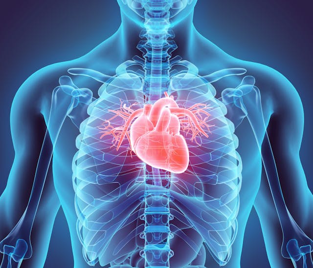 Animated heart | Image Credit: - yodiyim - stock.adobe.com