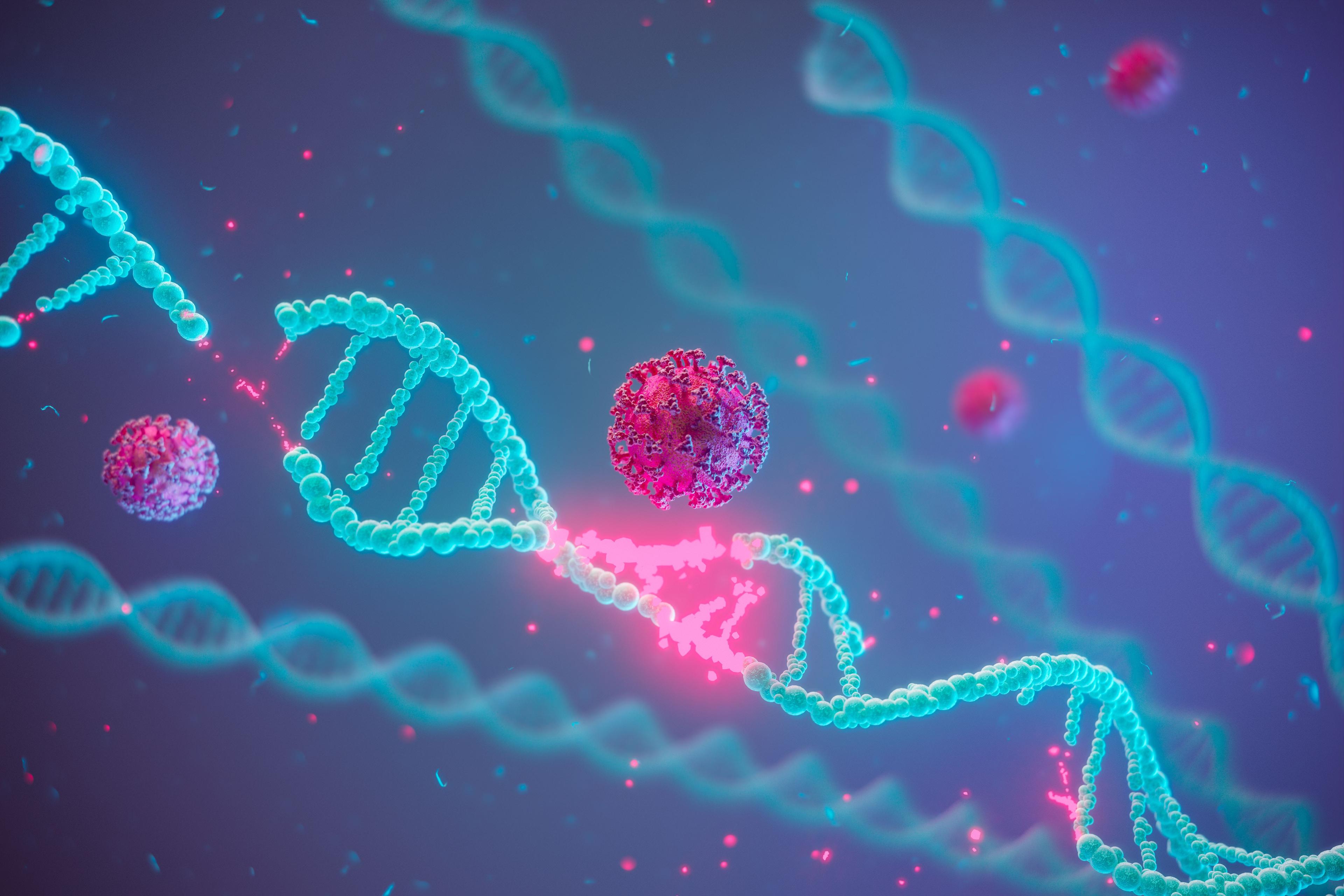 Gene editing | image credit: 4K_Heaven - stock.adobe.com