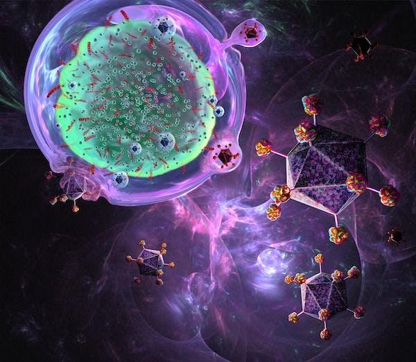 CAR T-cell therapy | Image credit: Getty Images Science Library