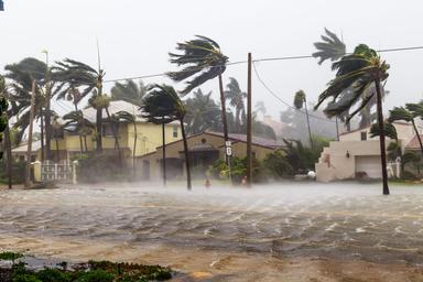 Hurricane | Image credit: Satoshi Kina - stock.adobe.com