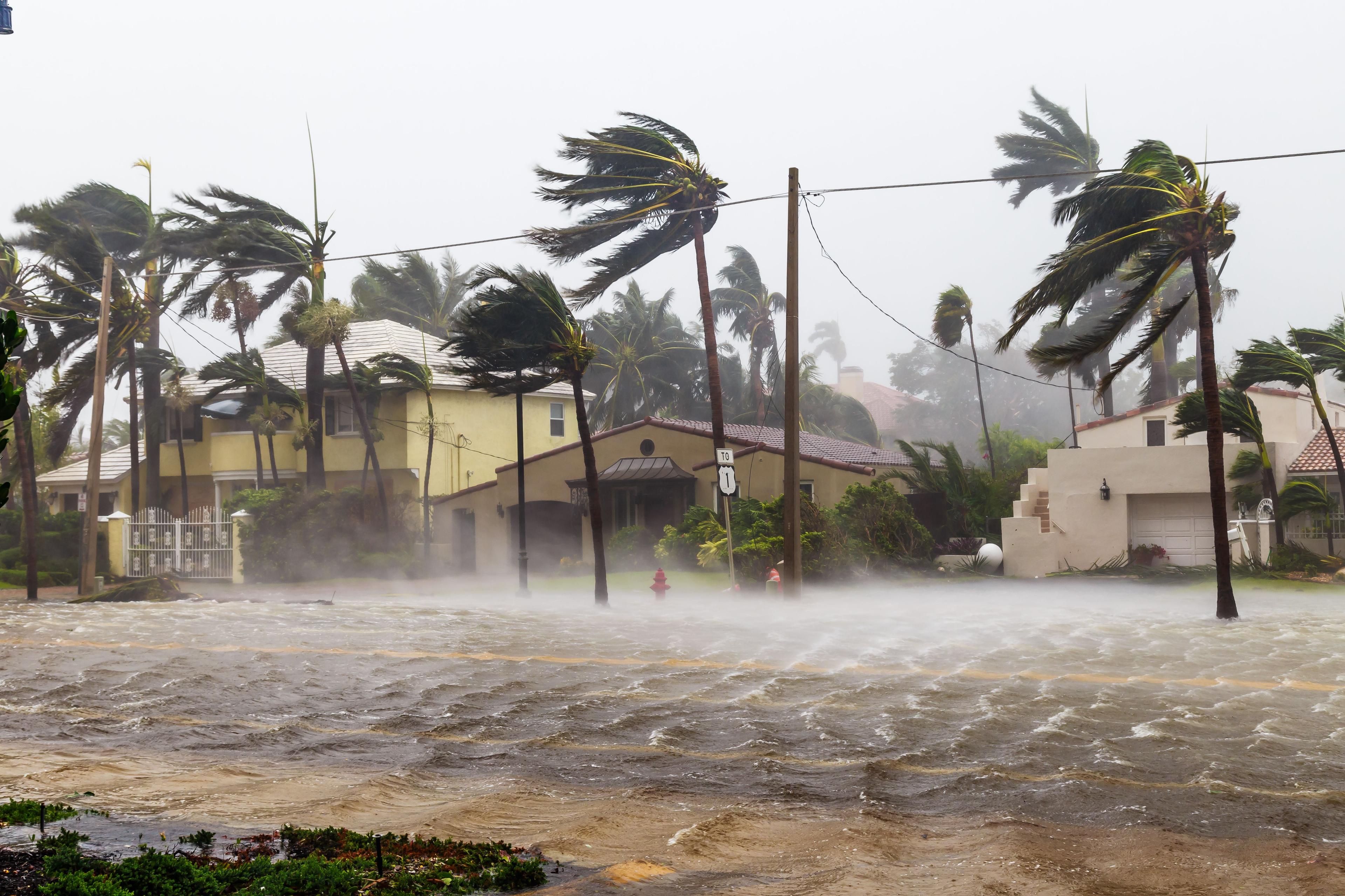 Hospitals, clinics, and health care workers prepare for hurricanes in advance to make sure all patients receive the care that they need | Image credit: Satoshi Kina - stock.adobe.com