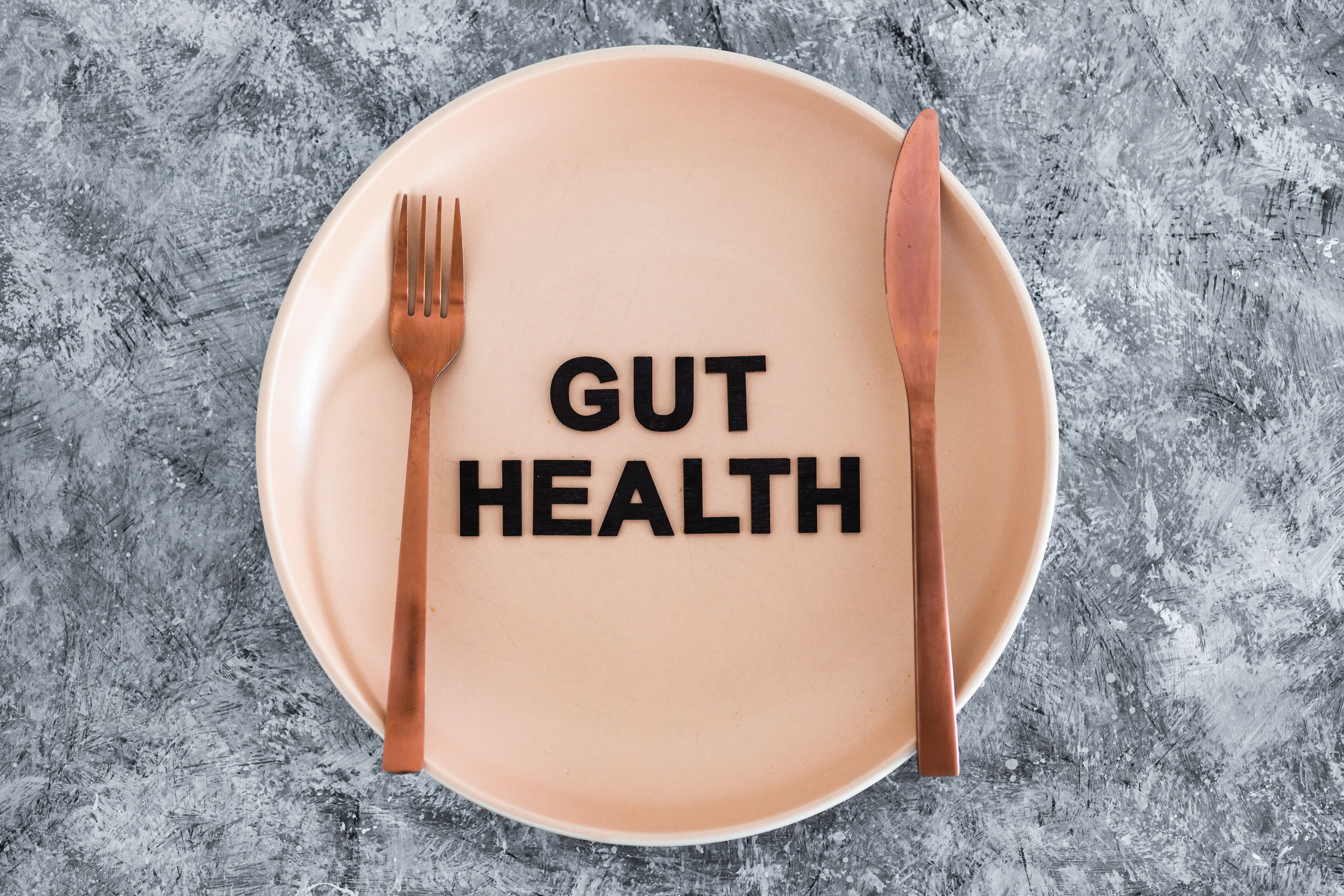 Gut health concept | Image credit: faithie - stock.adobe.com