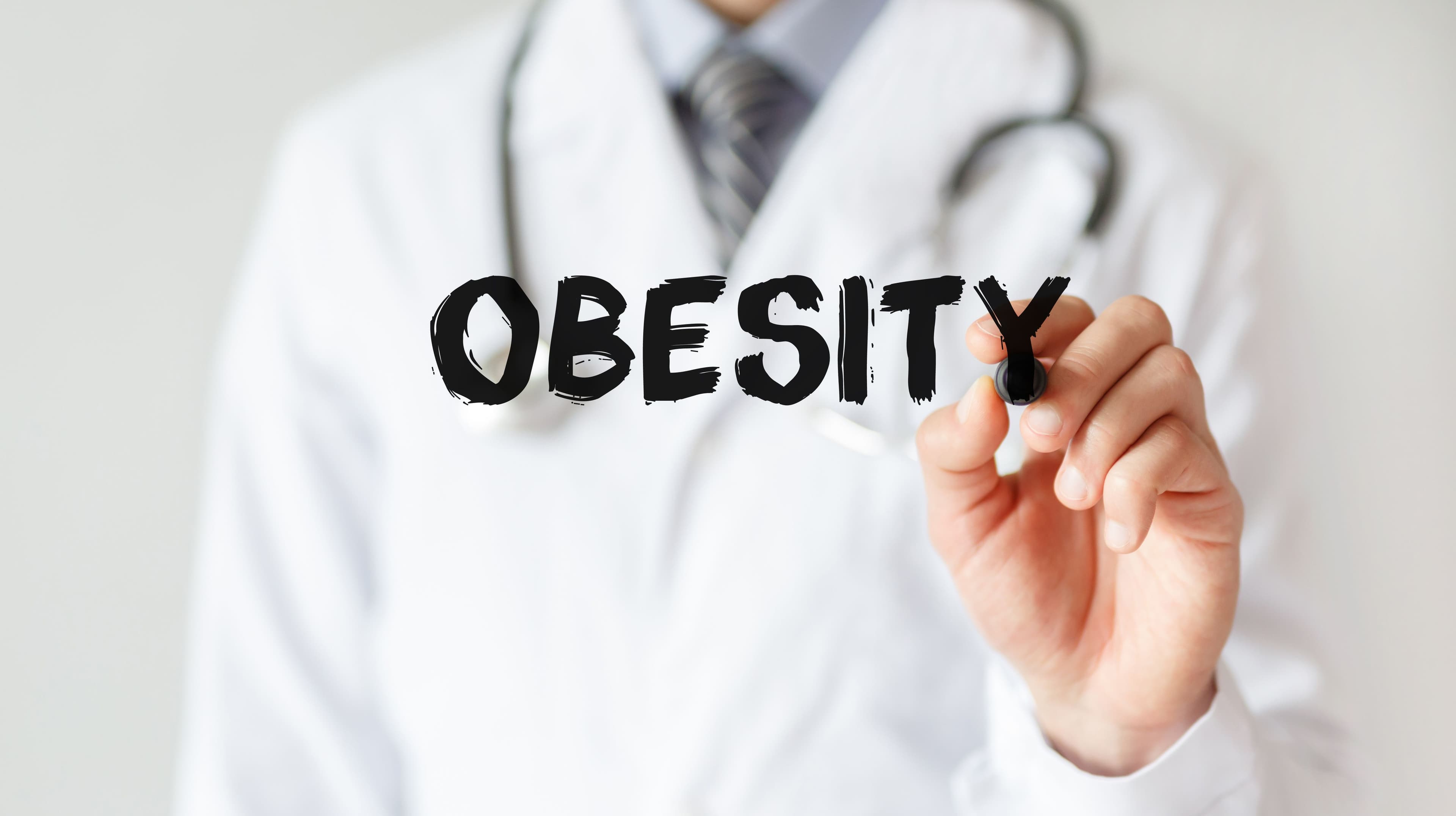 Obesity | Image credit: MP Studio – stock.adobe.com