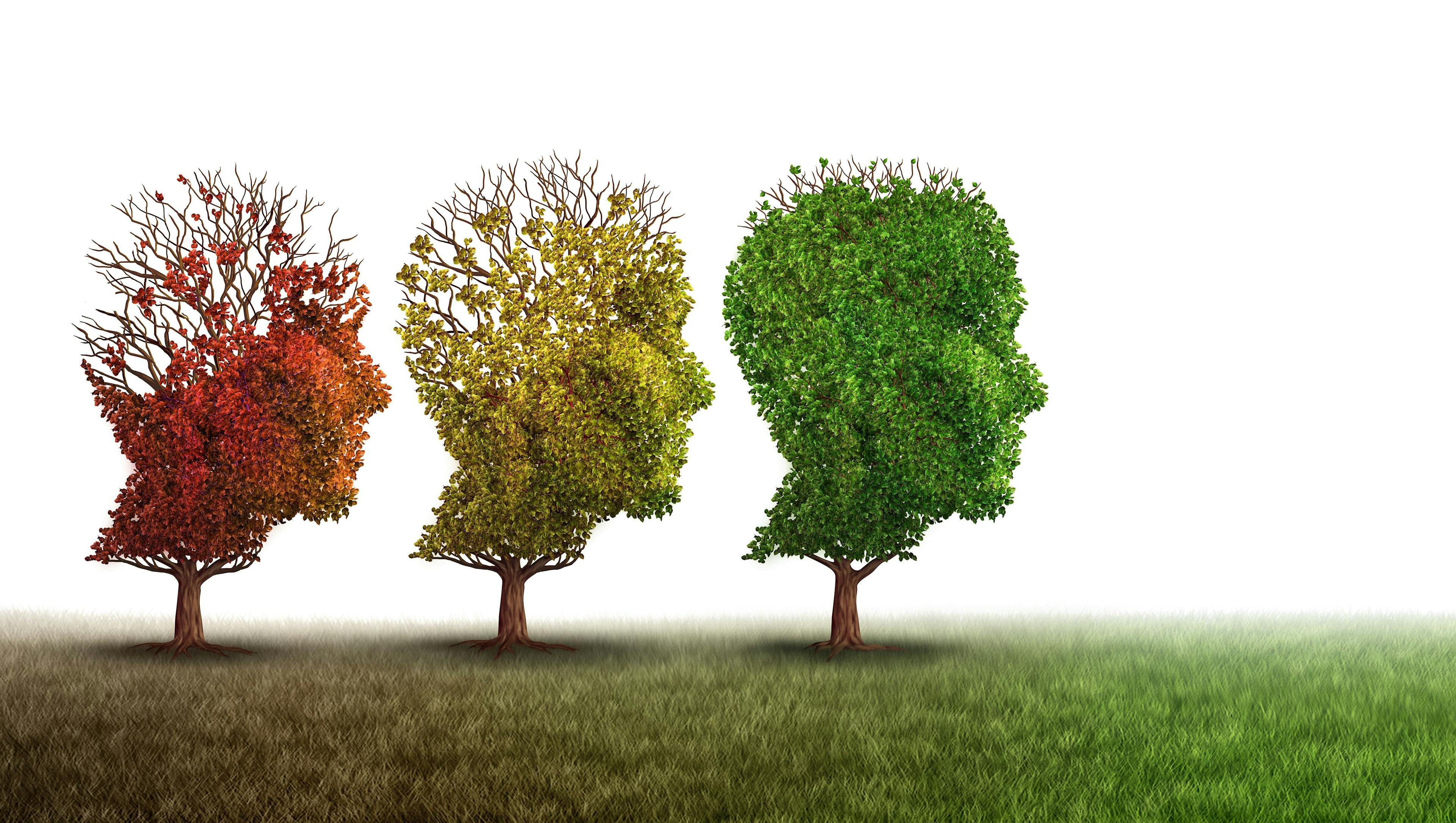 Red, yellow, and green trees reflecting memory loss or recovery | Image credit: freshidea – stock.adobe.com