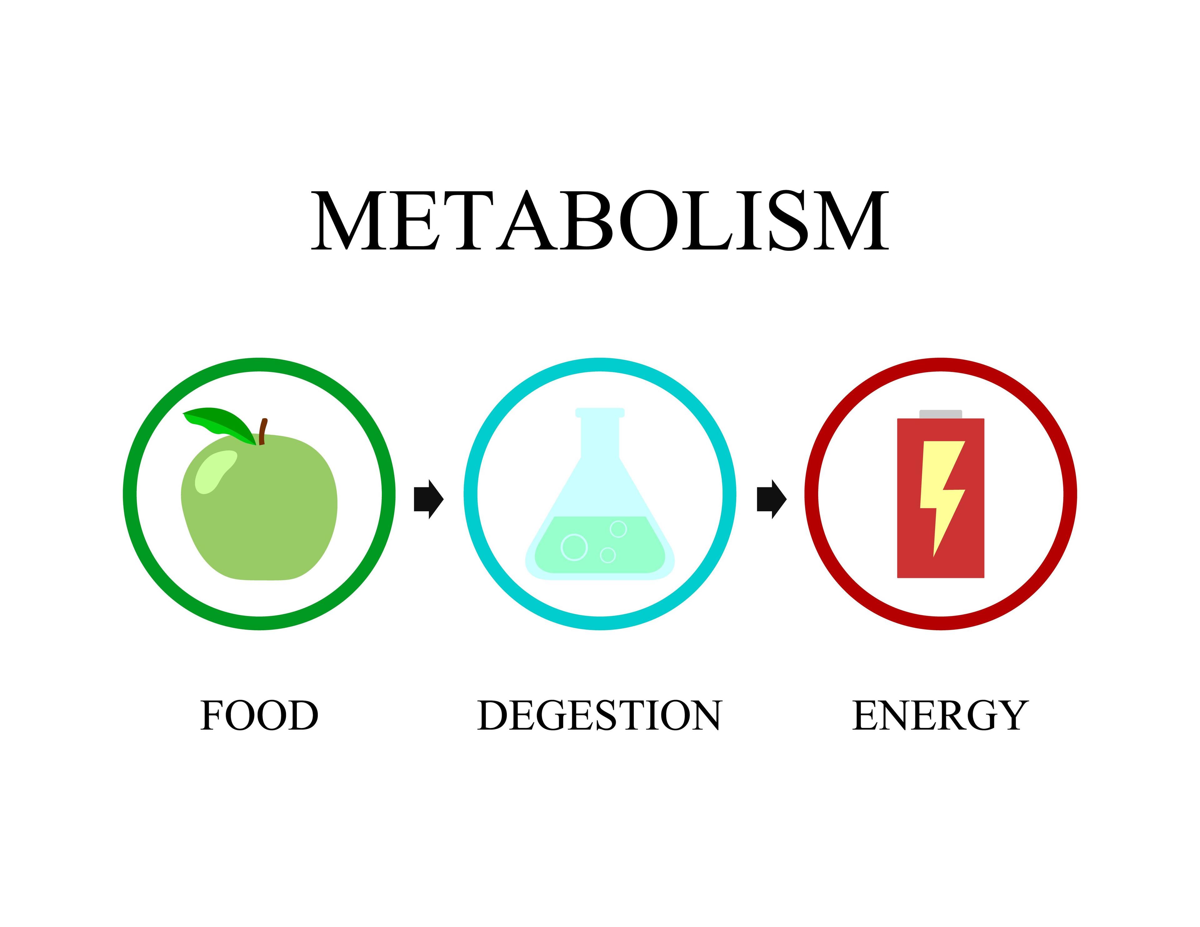 SMA has previously been associated with multiple metabolic and nutritional issues | image credit: alionaprof -stock.adobe.com 