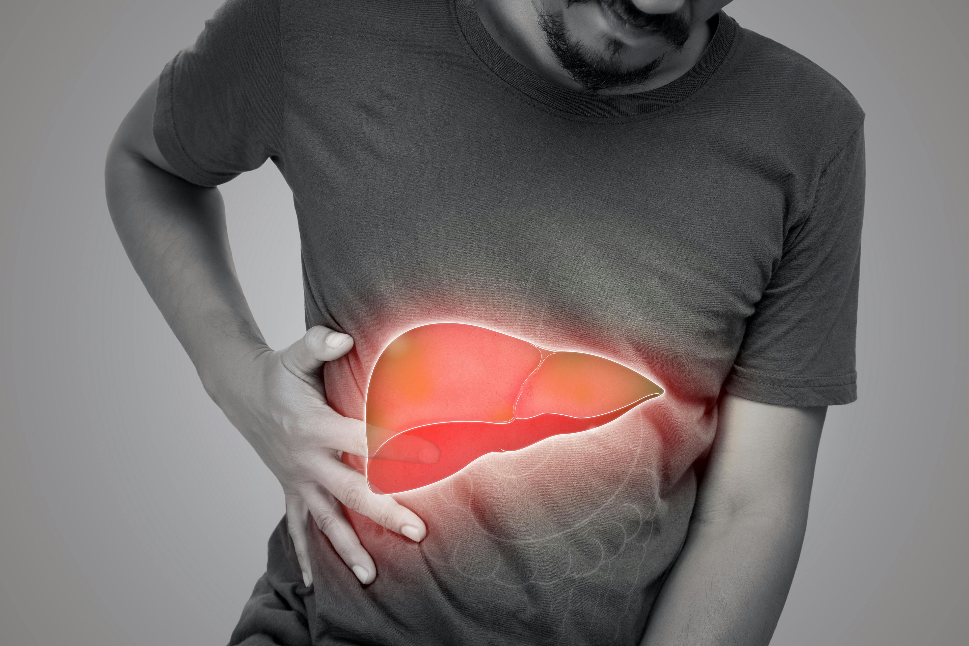 The SMN protein is expressed thoughout many body tissues types, including the liver | image credit: eddows - stock.adobe.com