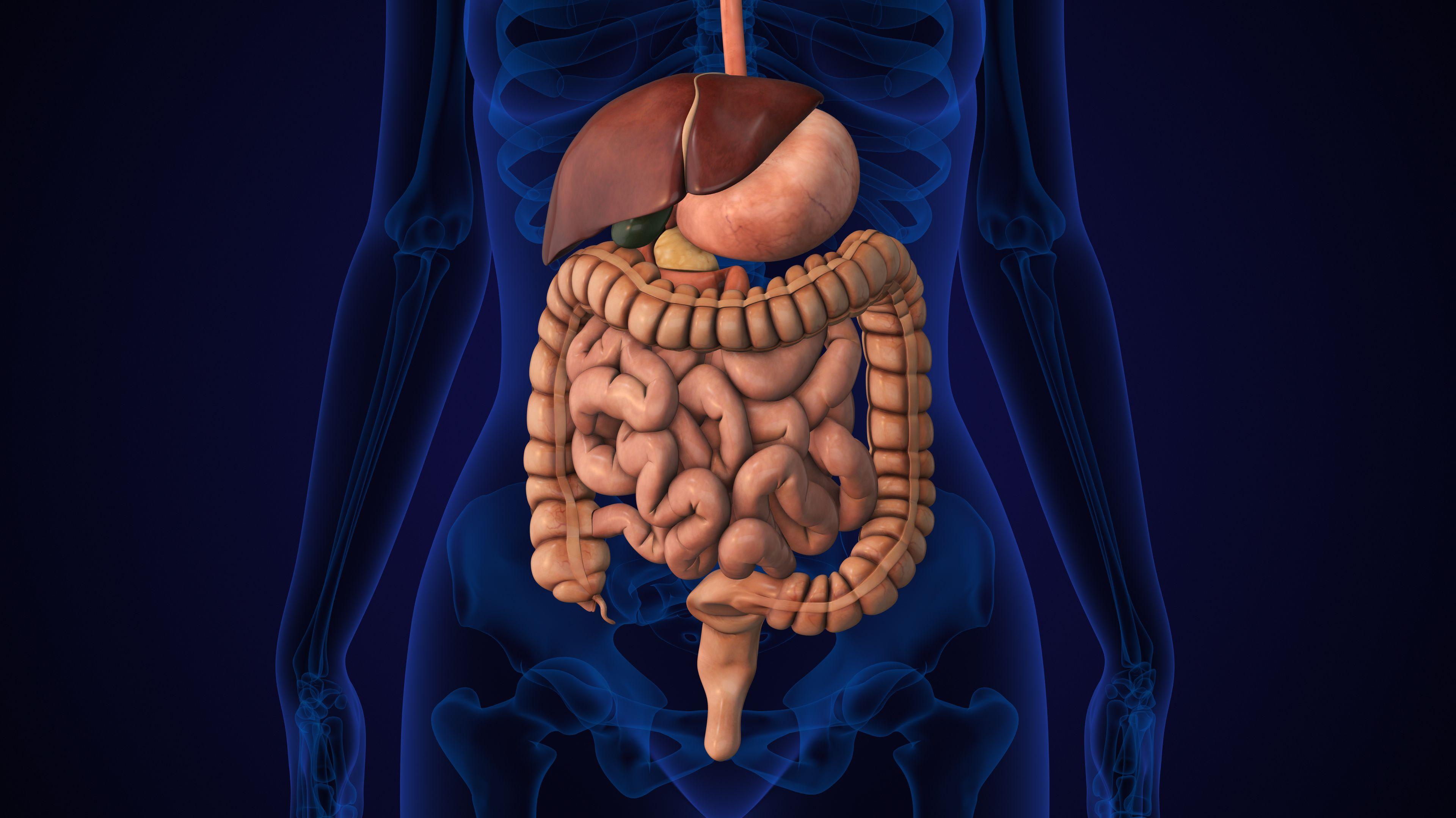 Minimal ablative margin associated with local tumor progression in colorectal liver metastases | Image credit: Cinefootage Visuals - stock.adobe.com