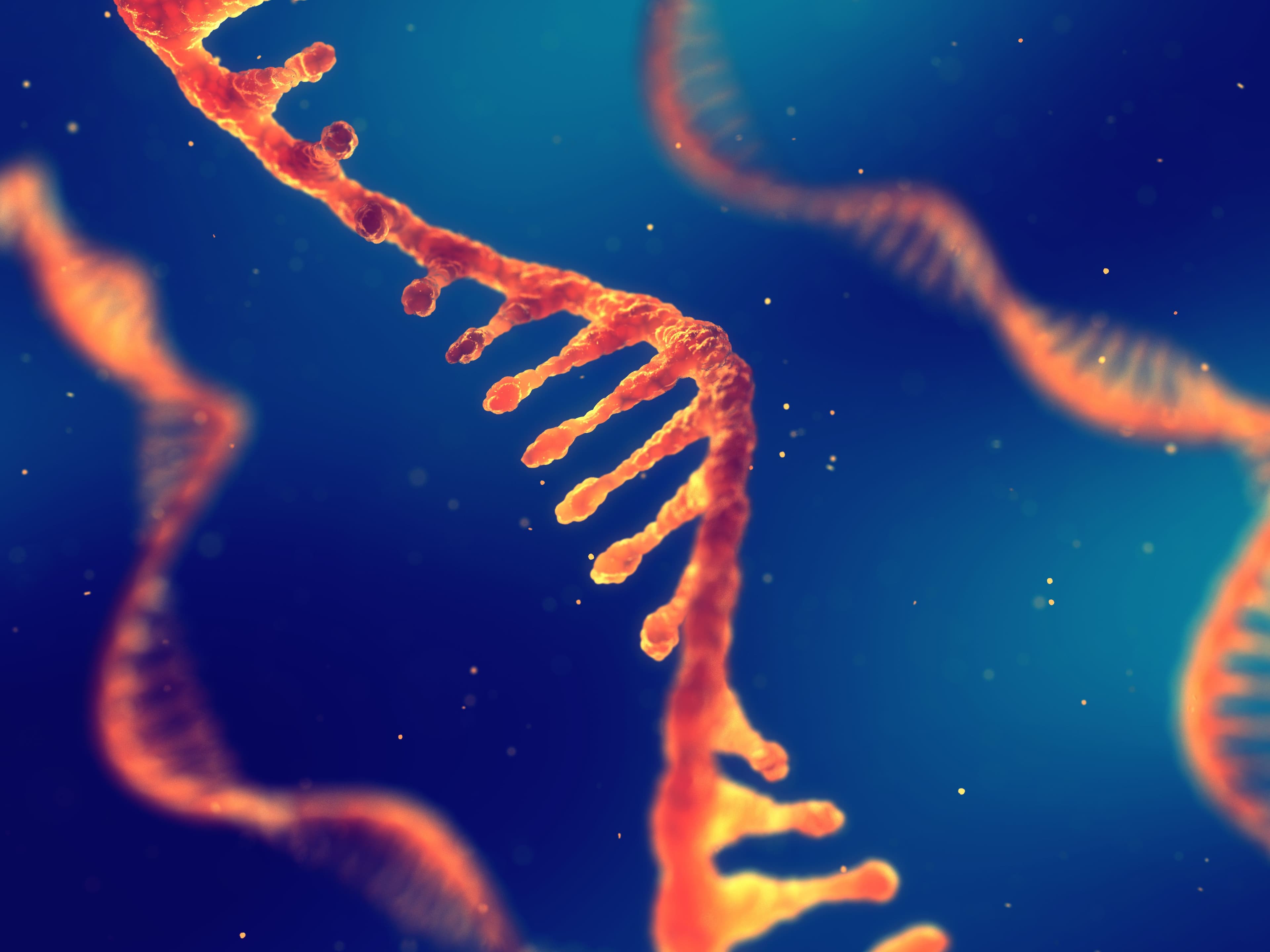 Lipopolymer-Delivered RNA Interference Shows Promise Against FLT3-Mutated AML | image credit: nobeastsofierce - stock.adobe.com