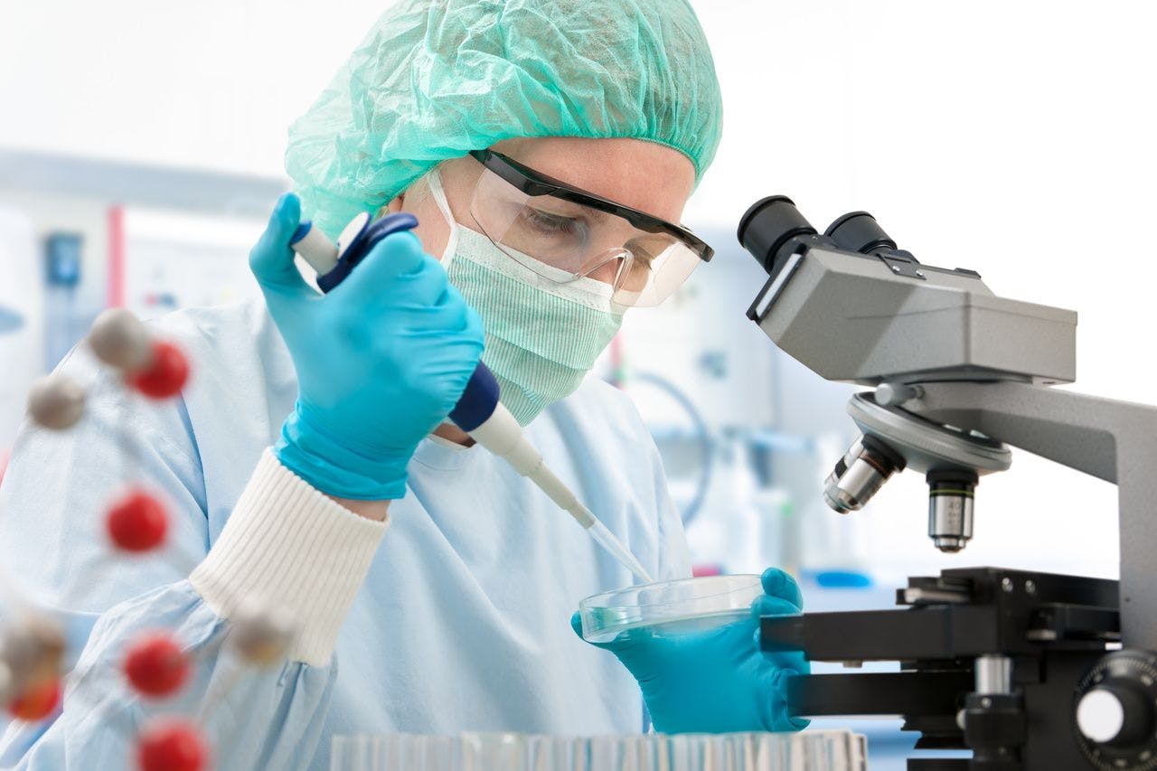 Researcher examining tissue samples