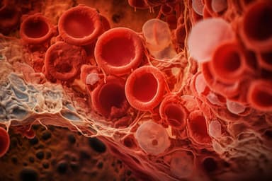 Blood cells from blood marrow biopsy | image credit: Катерина Євтехова - stock.adobe.com