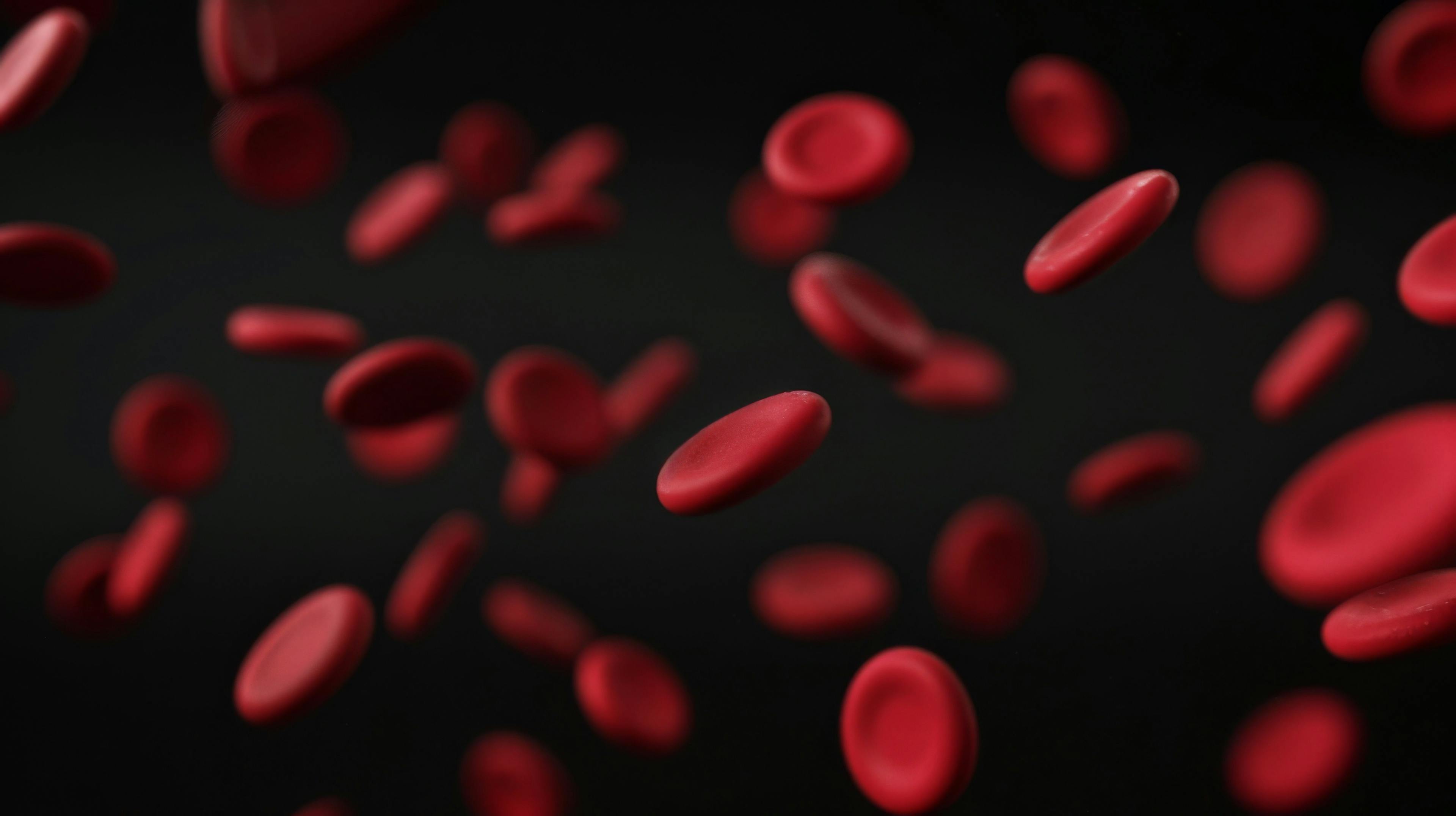 Despite treatment, some patients with PNH still experience anemia | image credit: Caterpillar - stock.adobe.com