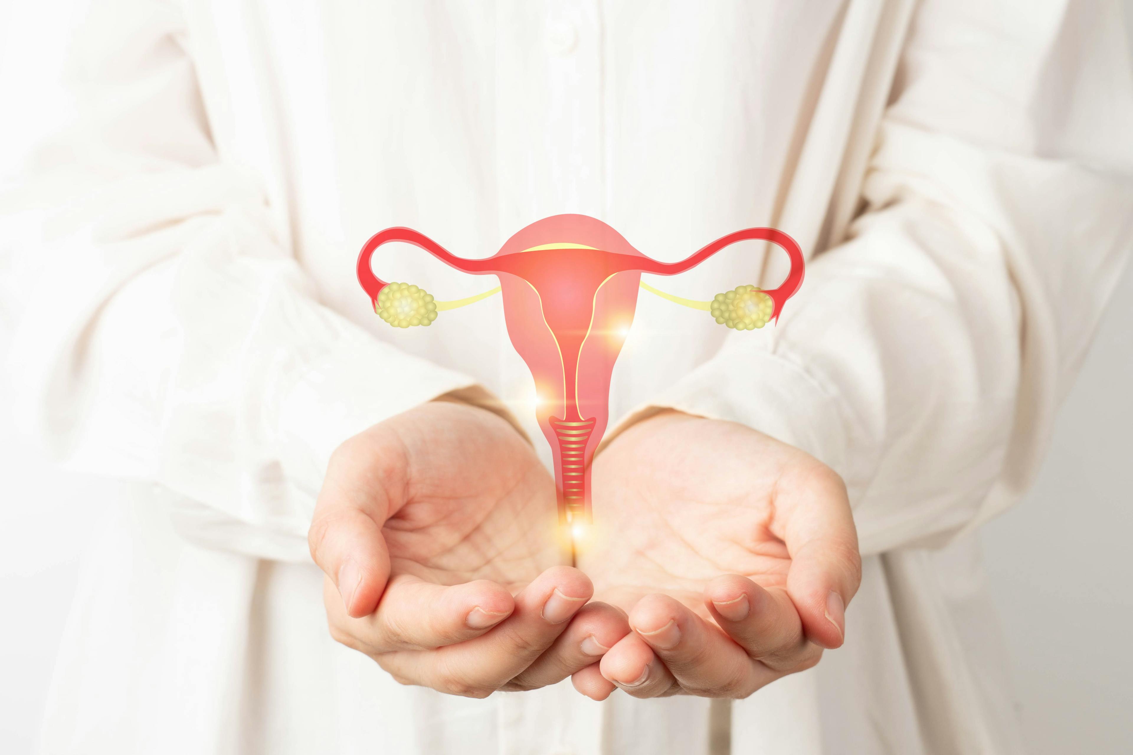 Doctor holding animated uterus and ovaries anatomy | Image Credit: Orawan - stock.adobe.com