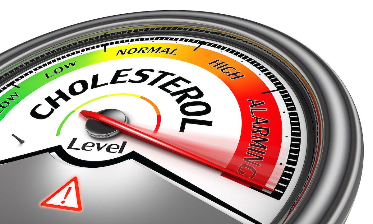 cholesterol meter | Image Credit: © fontriel-stock.adobe.com