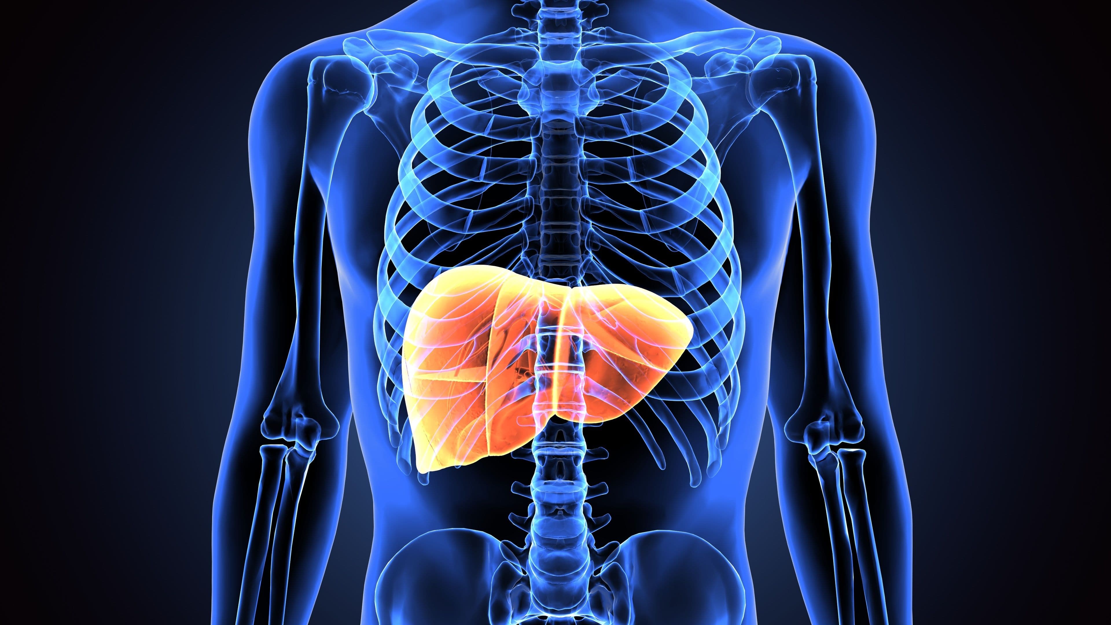 Liver steatosis is highly prevalent in patients living with HIV | Image credit: PIC4U - stock.adobe.com