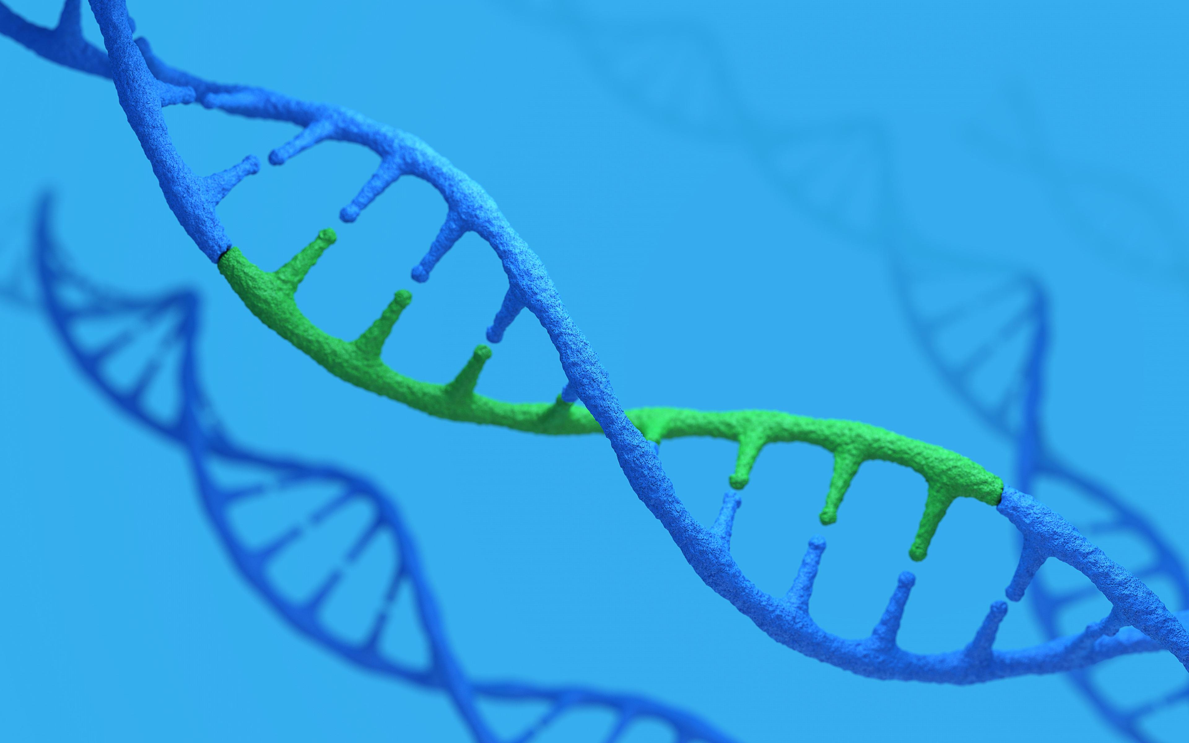 Understanding genetic alterations in CLL could improve personalized medicine strategies | image credit: Shuo - stock.adobe.com