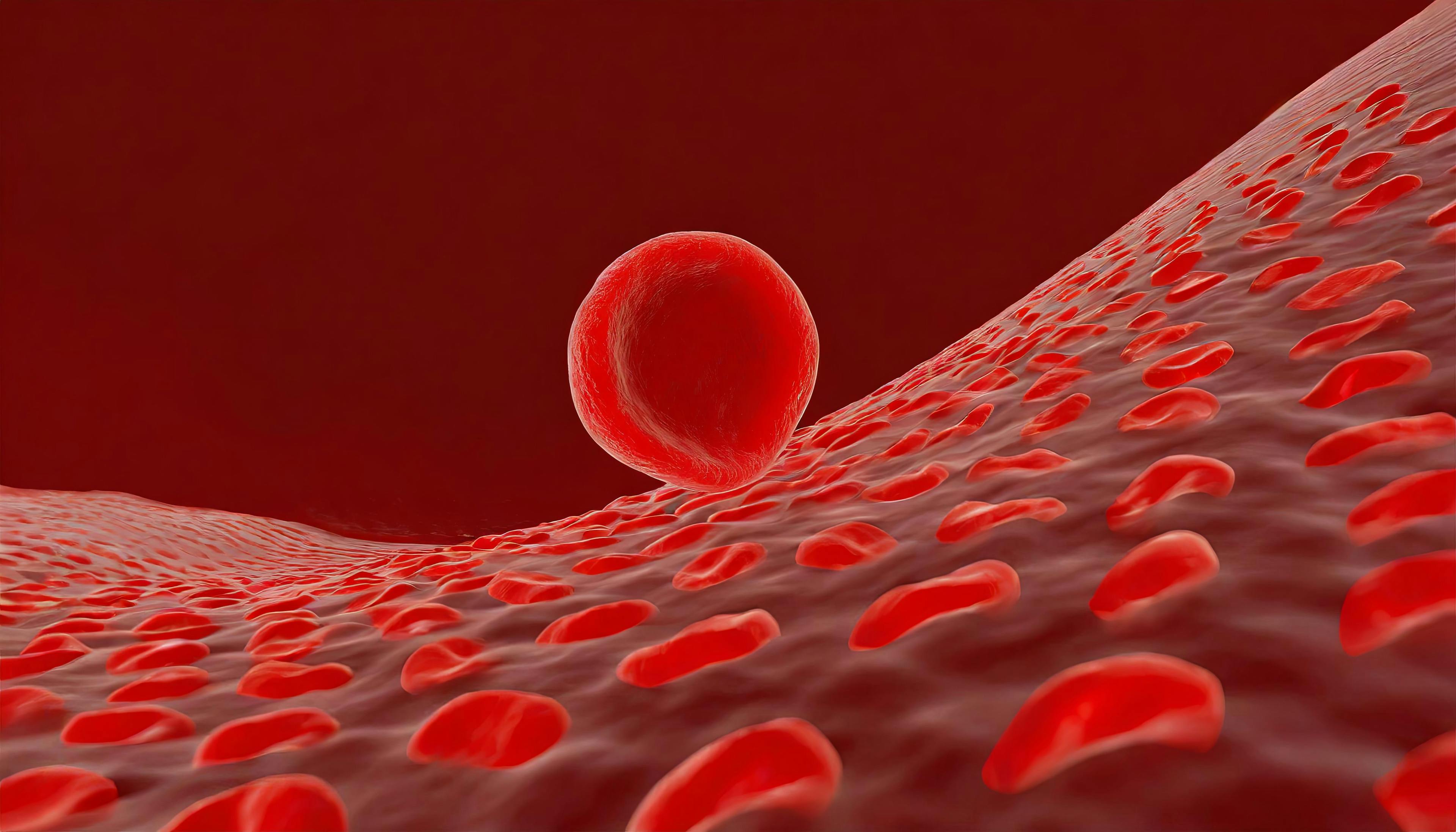 Hemolysis is the destruction of red blood cells, a common symptom of PNH | image credit: Red Lemon - stock.adobe.com