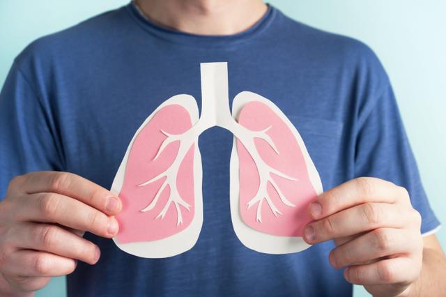 Man holding paper model of lungs | Image credit: Elena - stock.adobe.com