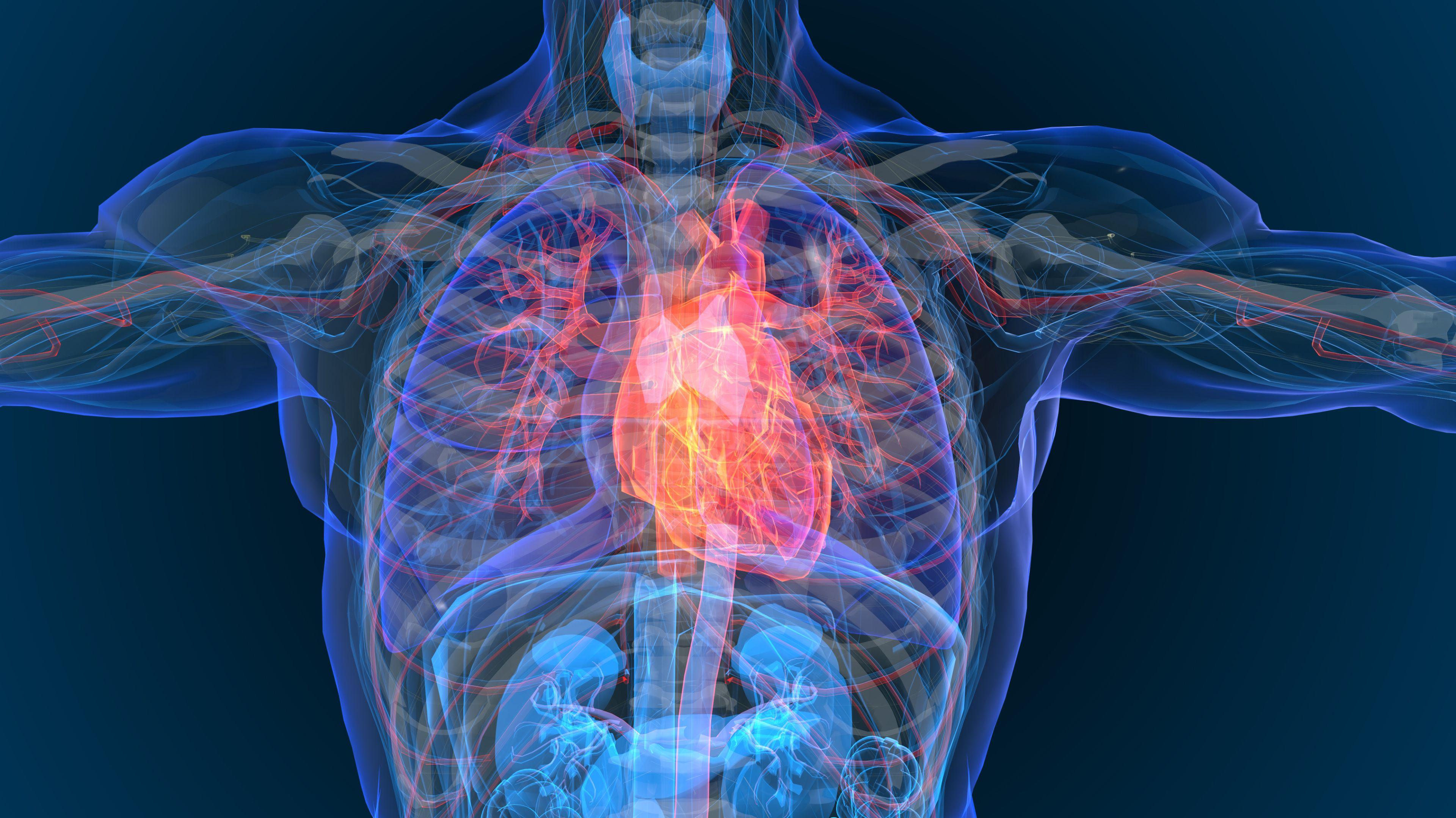 3D image of heart failure | Image credit: appledesign - stock.adobe.com