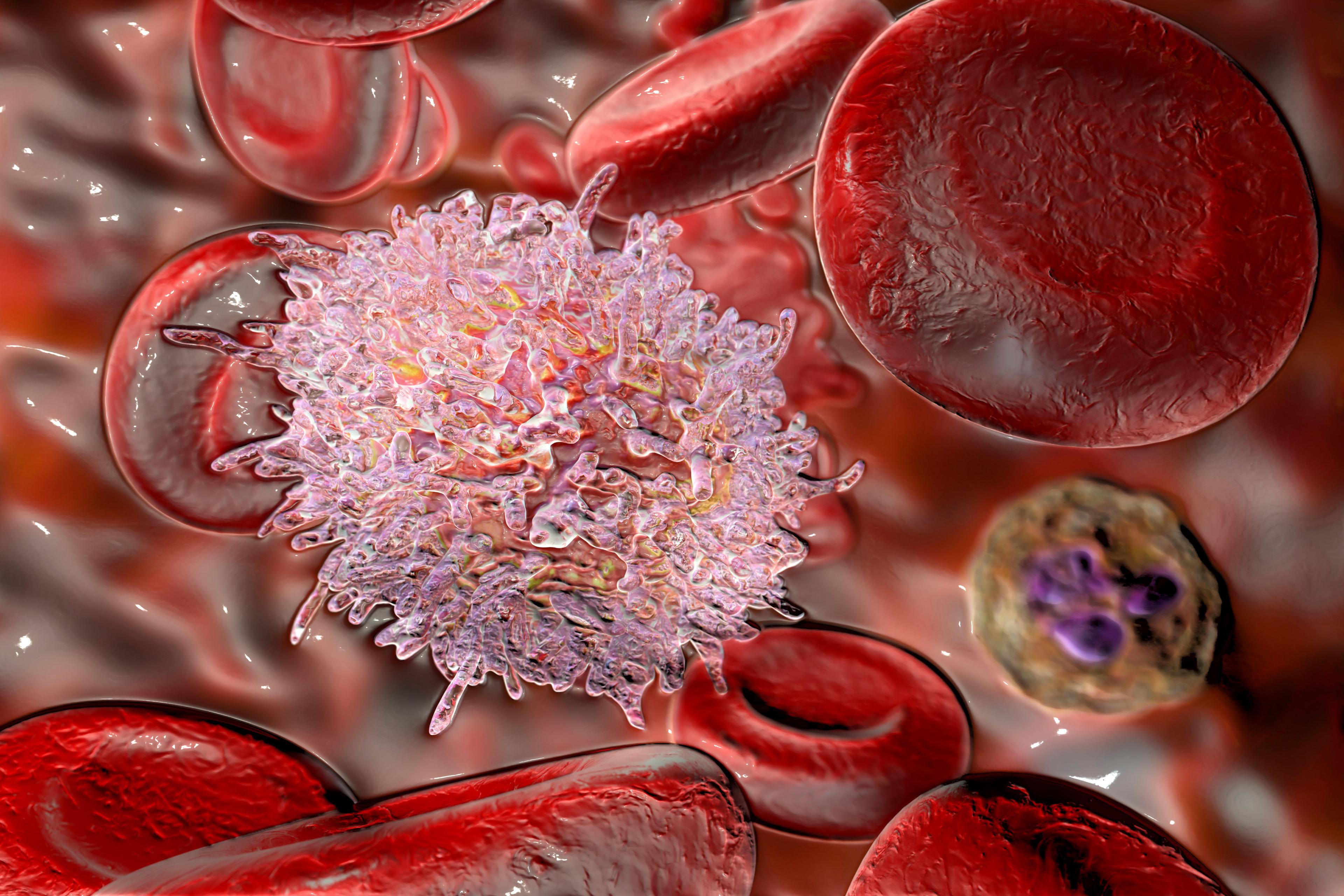 Leukemia cell concept | image credit:  Dr_Microbe - stock.adobe.com