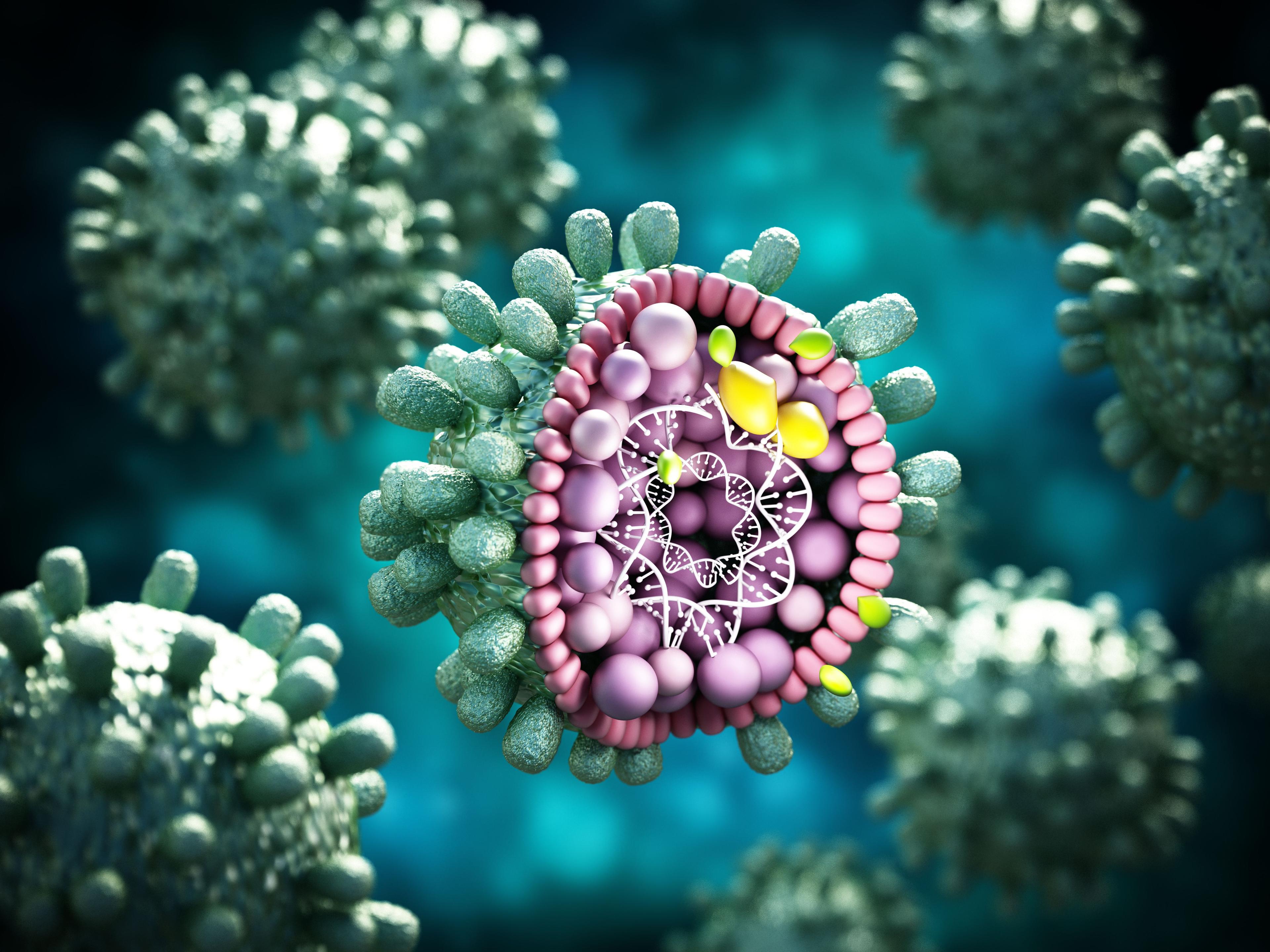 3D illustration of hepatitis B | Image Credit: Destina - stock.adobe.com