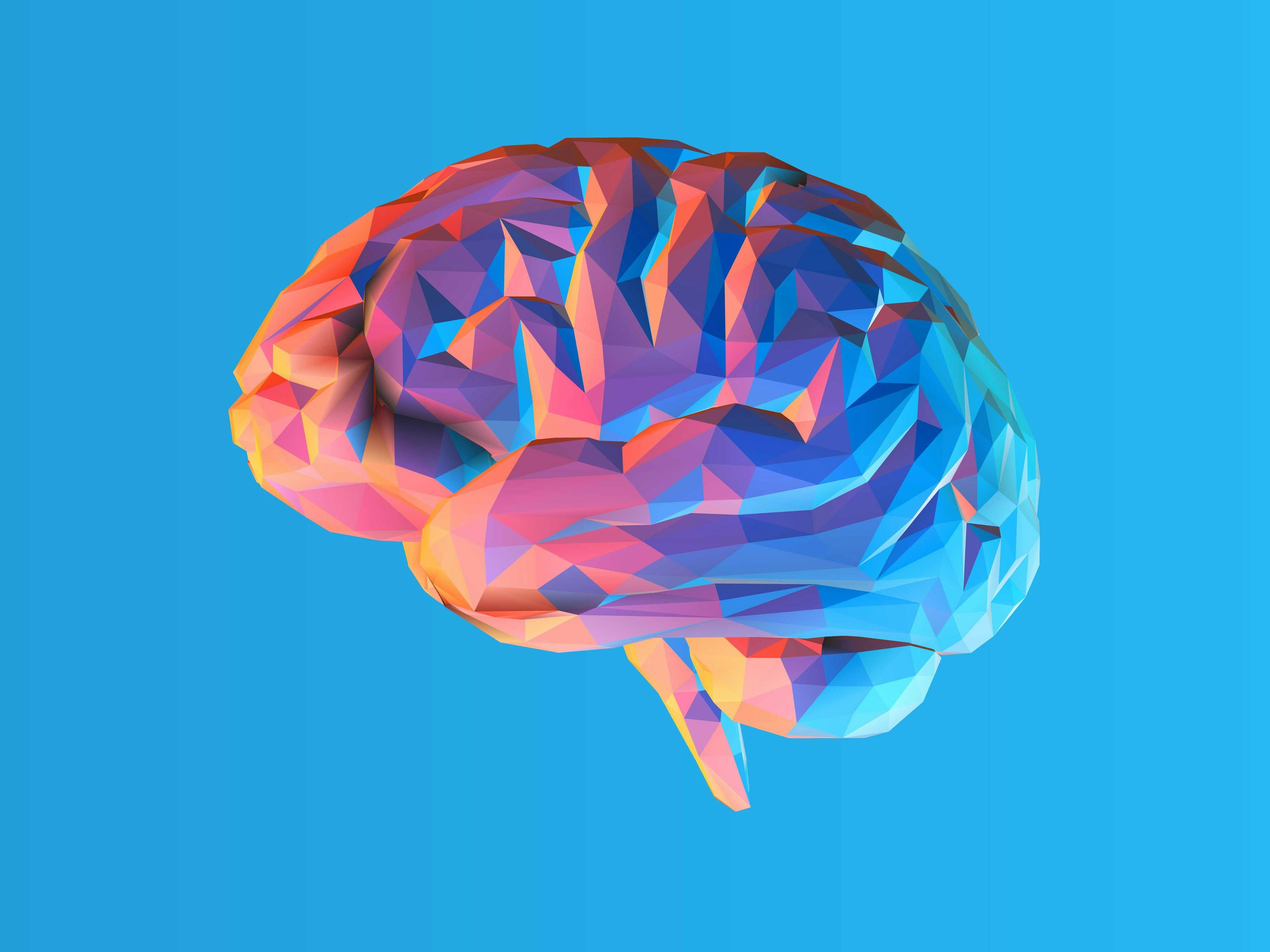 Brain illustration in blue and pink | Image credit: jolygon - stock.adobe.com.jpg