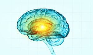 Women's Metabolic Brain Age Consistently Lower Than Men's
