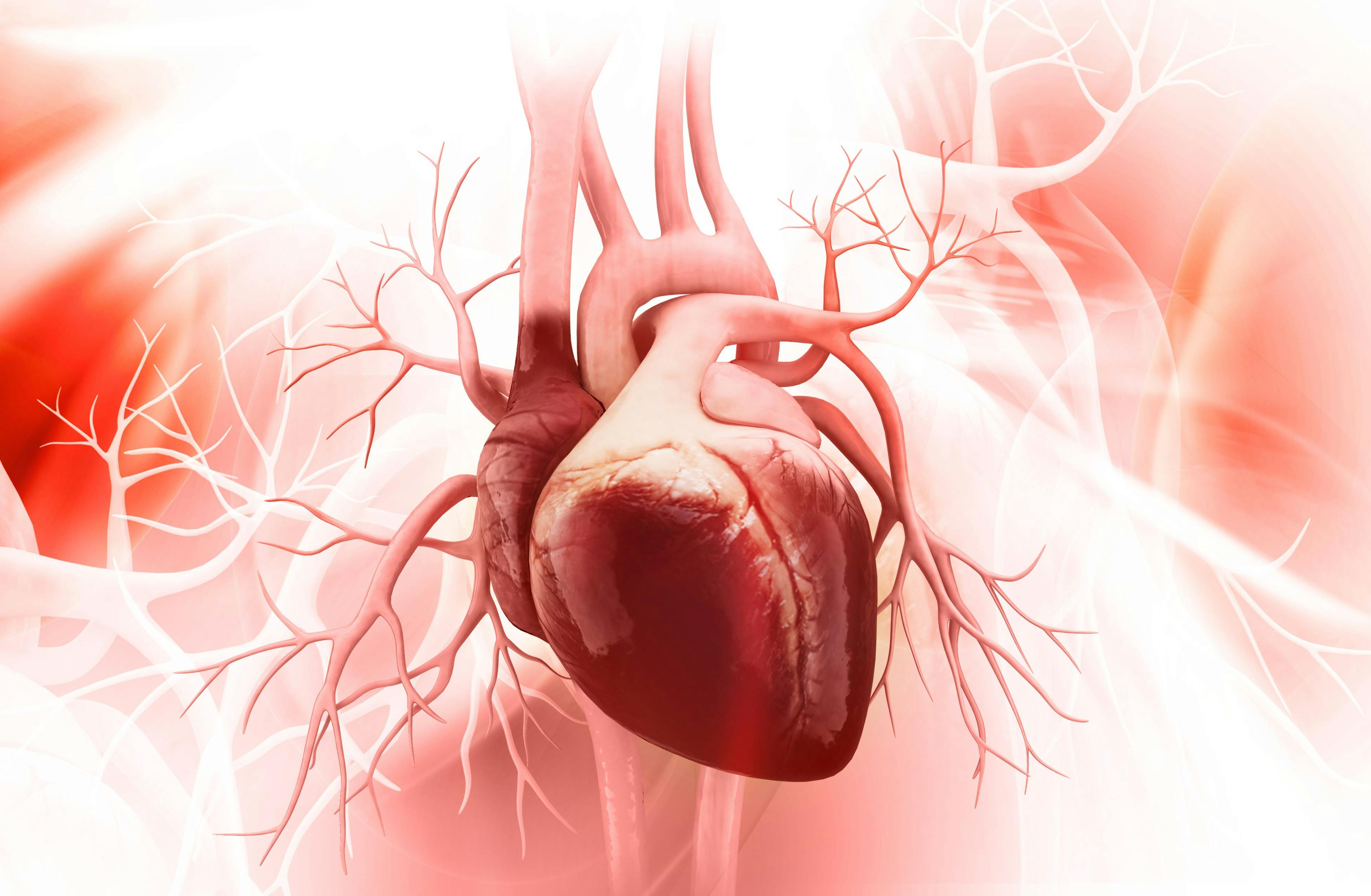 Human heart | Image credit: abhijith3747 - stock.adobe.com