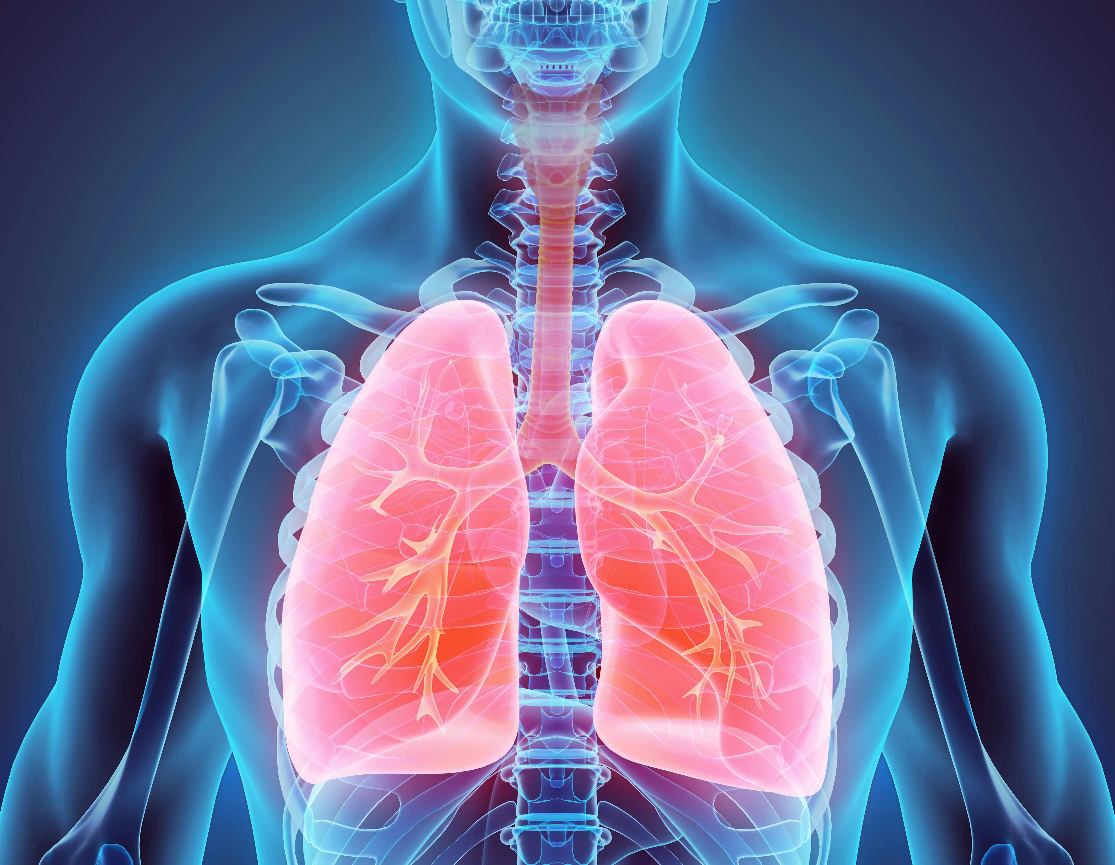 Study Probes Role of Epigenetics in Precision Medicine for Lung Cancer 