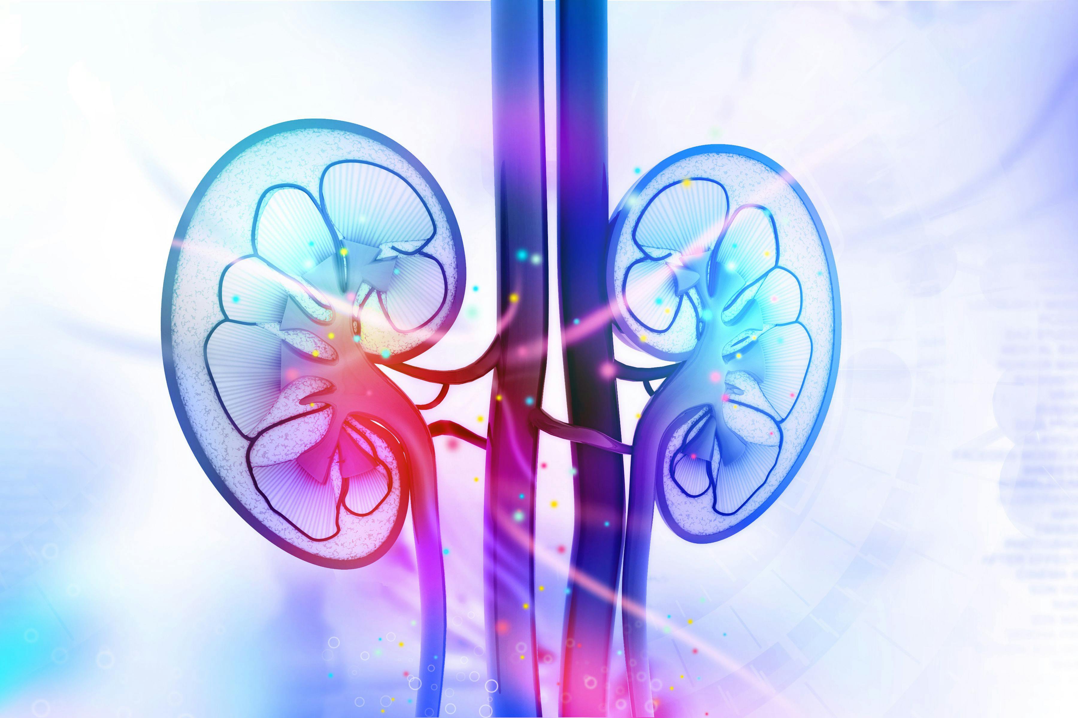 Study Describes Early Benefit, Effectiveness of RASi for CKD