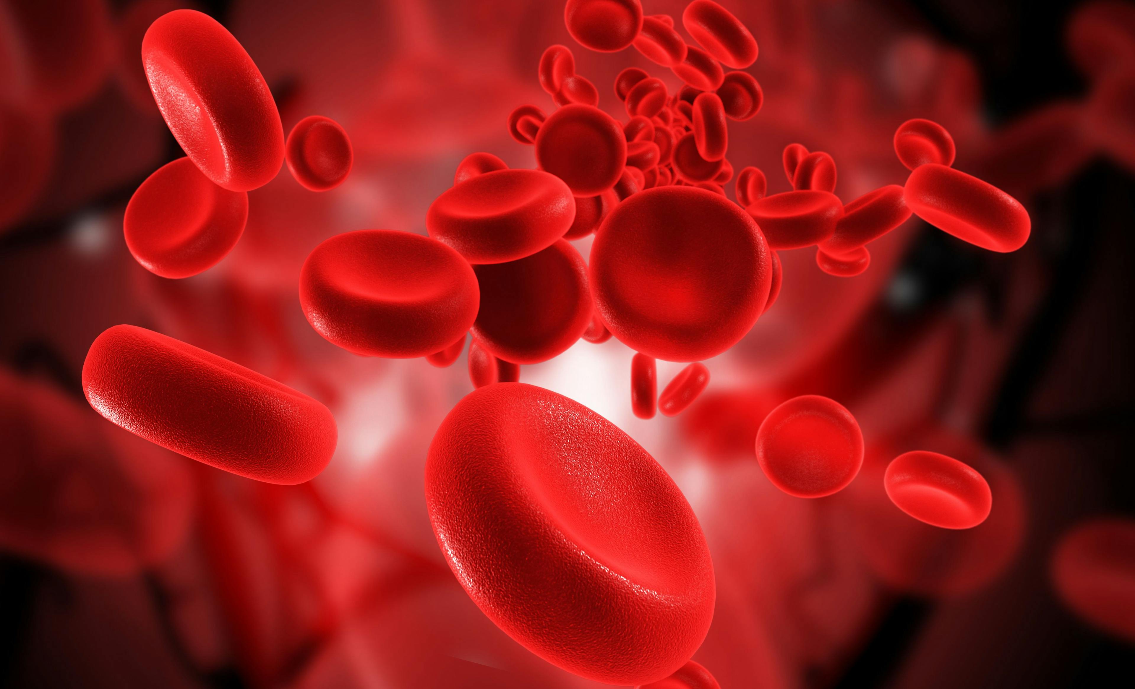 Blood cells | Image credit: abhijith3747 - stock.adobe.com