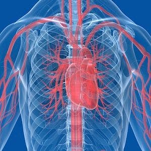 Increased Mortality Rates Found in Patients With Borderline Pulmonary Hypertension