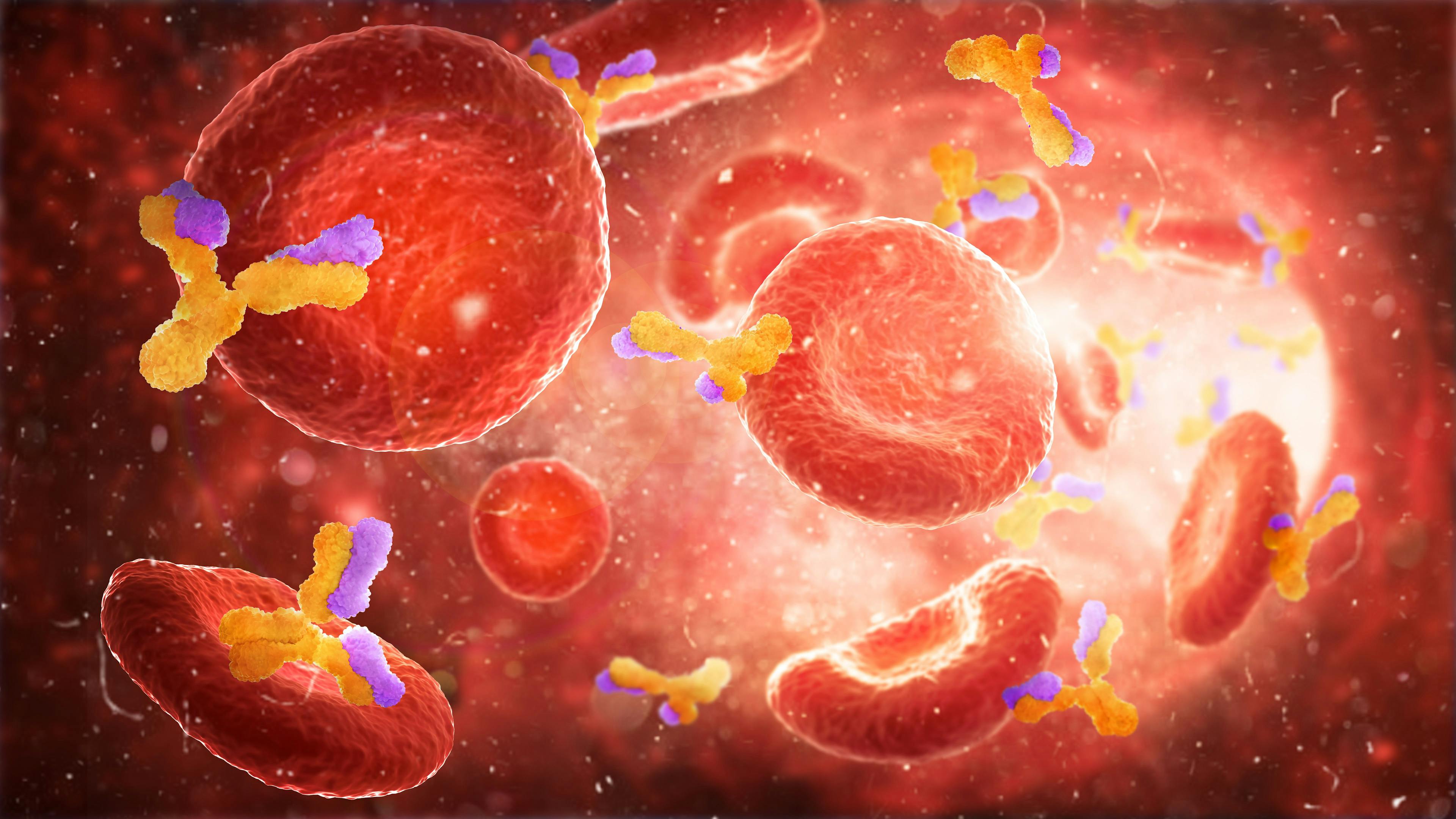 Immune Cells and Antibodies Concept | image credit: vipman4 - stock.adobe.com