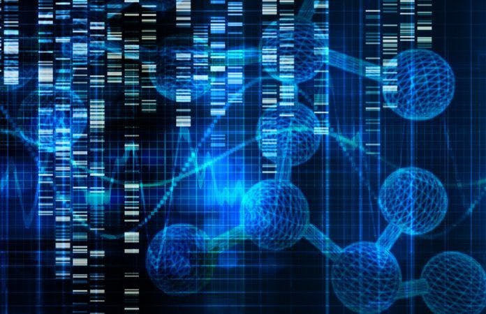 Study Uses Foundation Medicine Database to Map Common DDR Genes in Solid Tumors