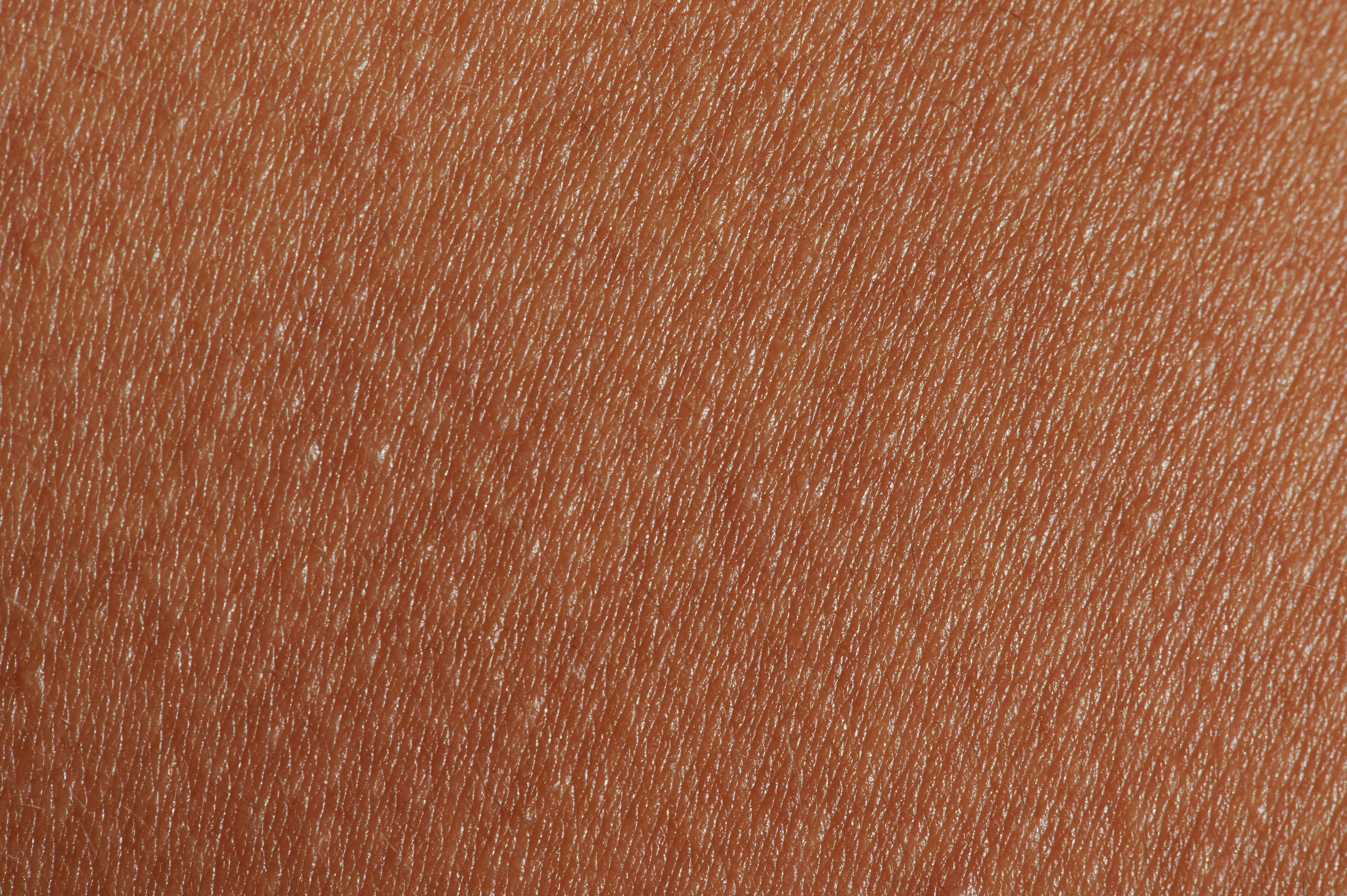 Brown skin | Image credit: © PixieMe - adobe.stock.com