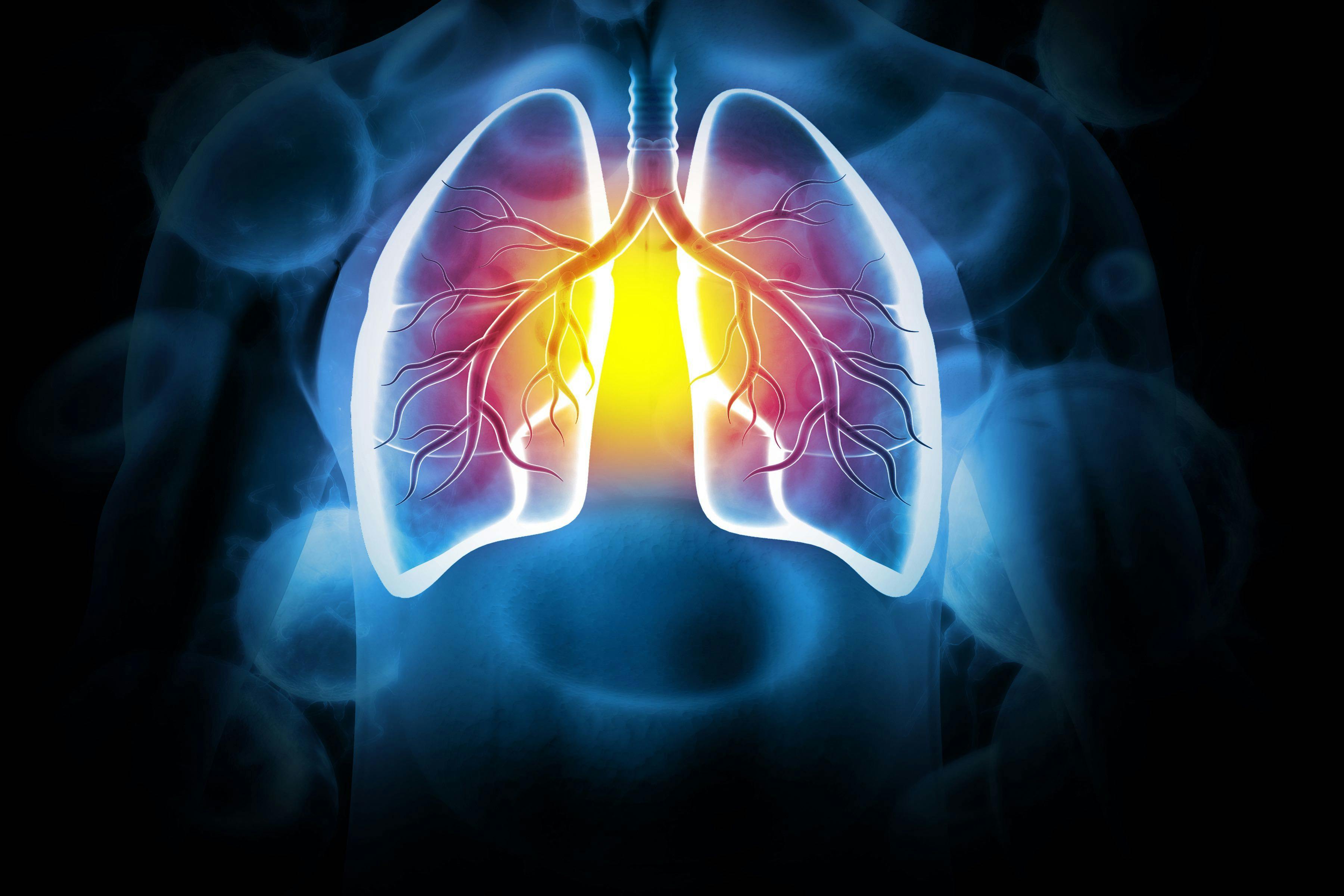 Lungs | Image credit: Crystal light - stock.adobe.com