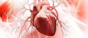 Multiethnic Study Identifies Factors That Predispose Midlife Women to Cardiometabolic Risk