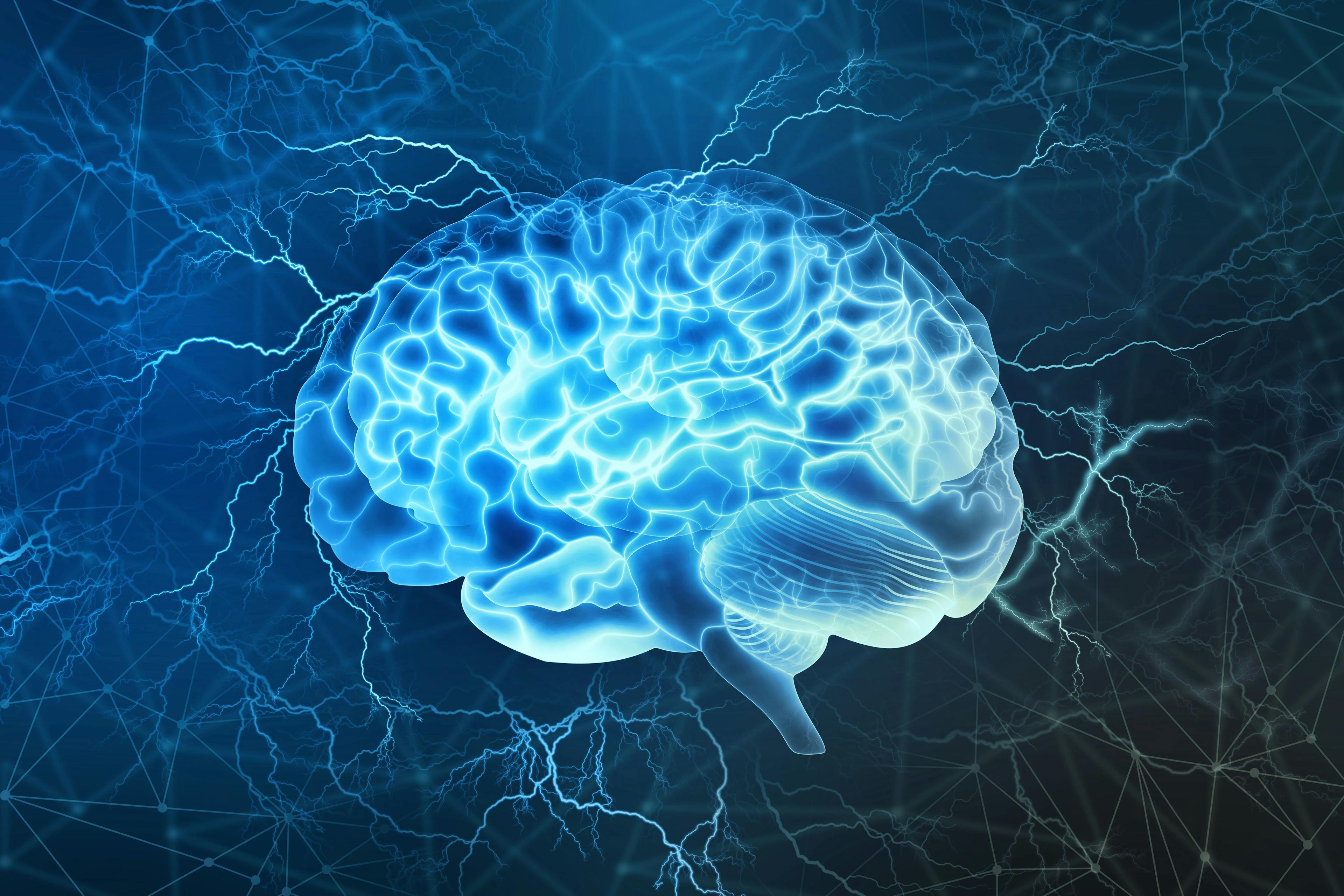 Human brain | Image credit: Siarhei - stock.adobe.com