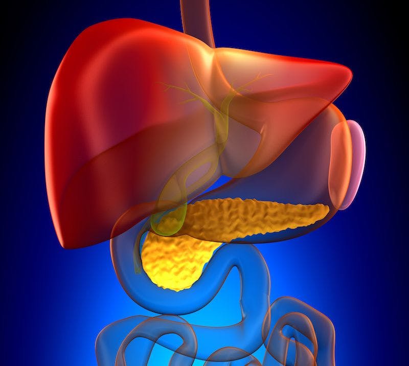 liver image 