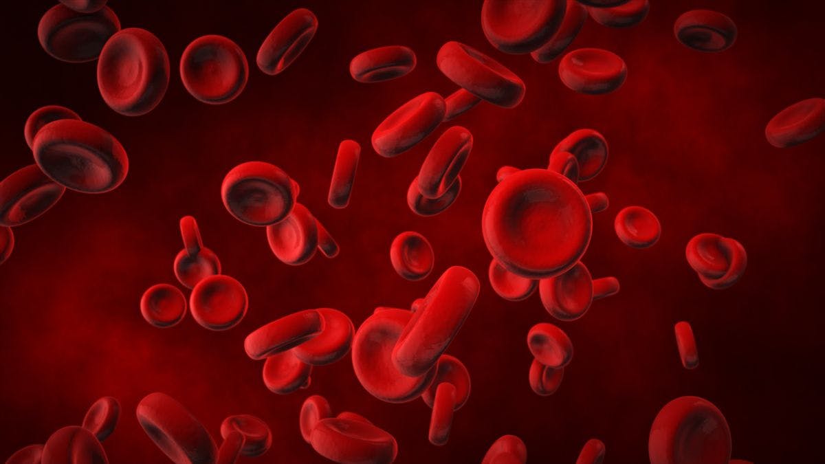 Blood cells | Image credit: flashmovie - stock.adobe.com