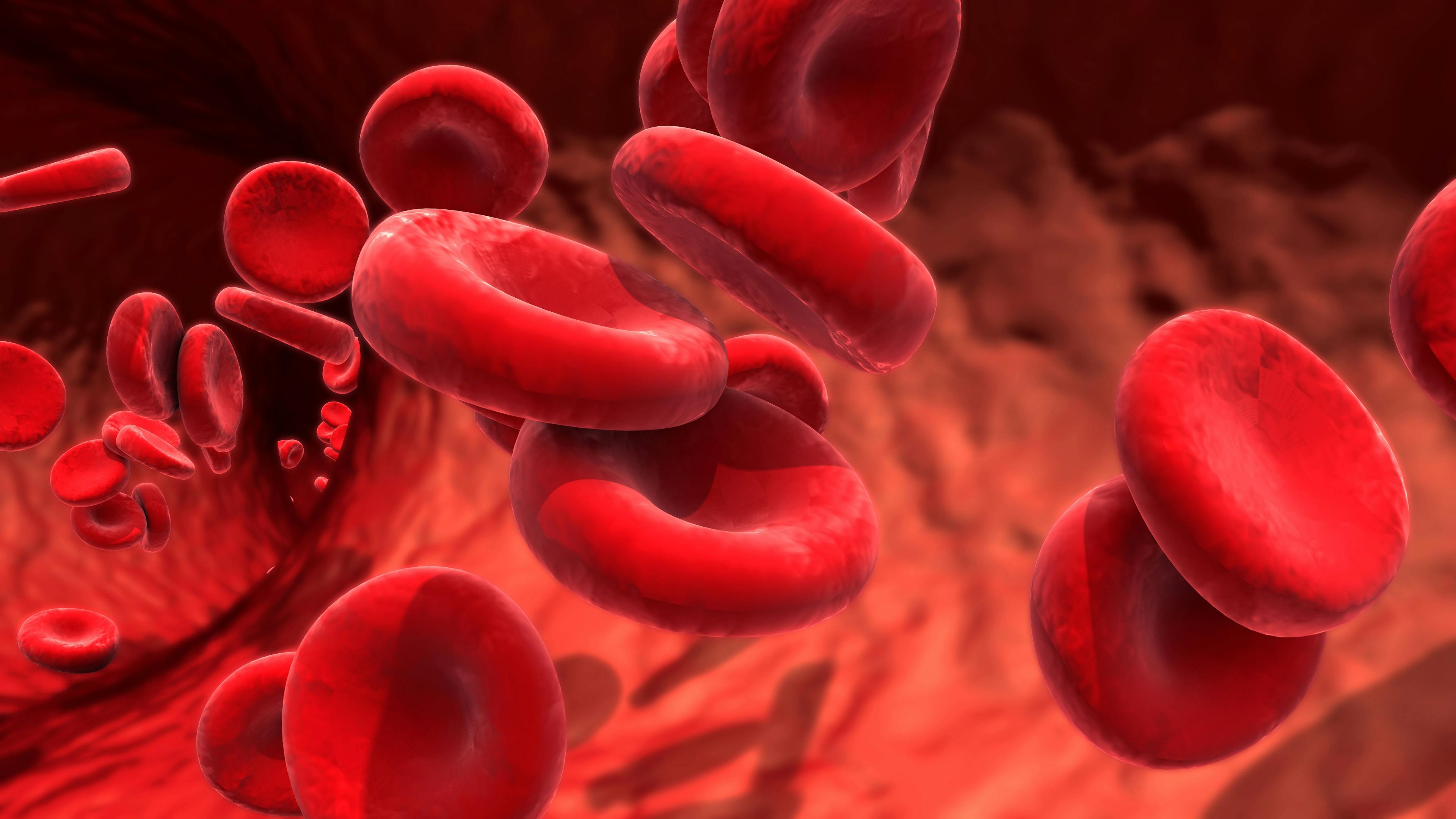 Red blood cells circulating in the blood vessels | Image credit: Design Cells - stock.adobe.com