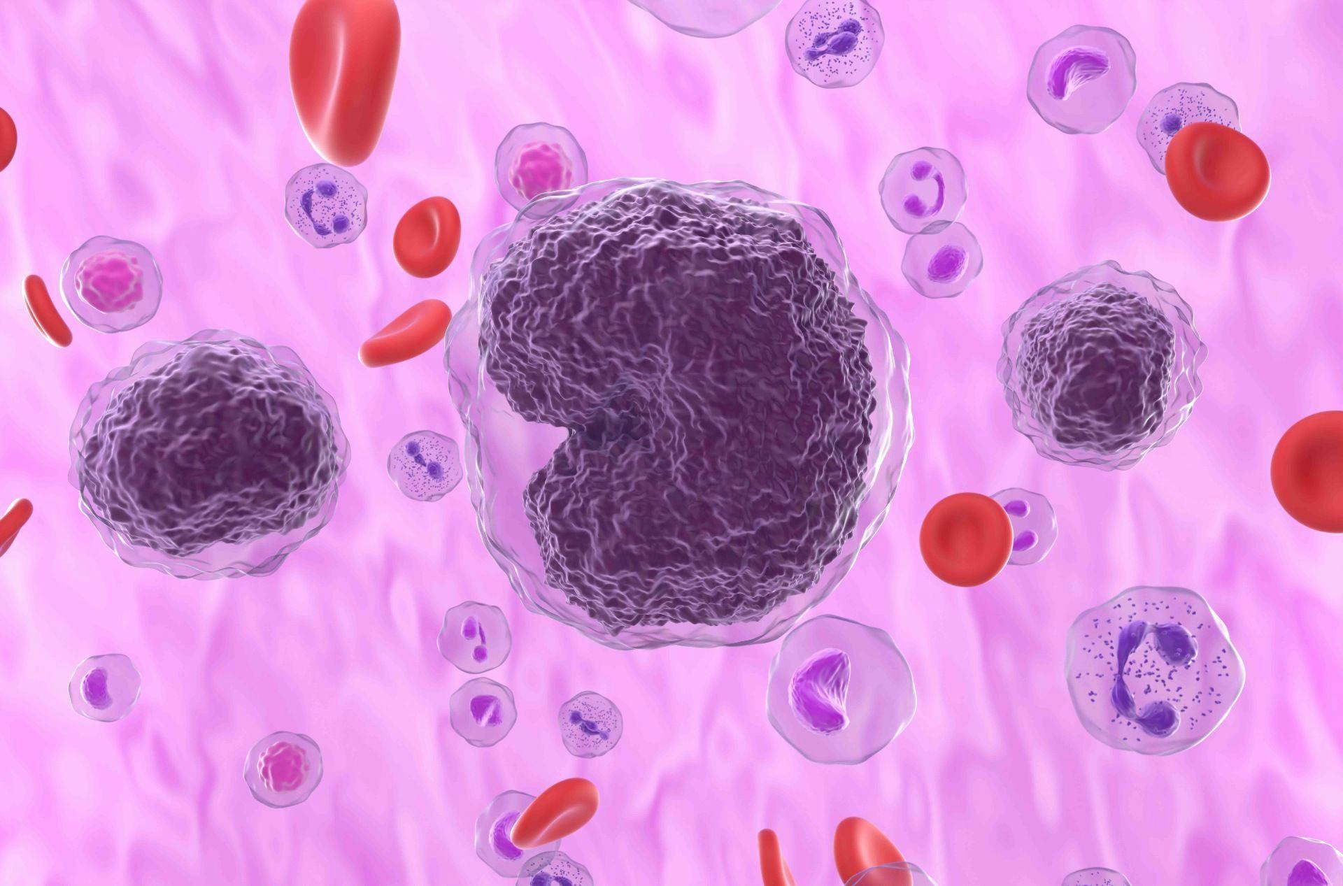 Lymphoma cells | Image credit: LASZLO - stock.adobe.com
